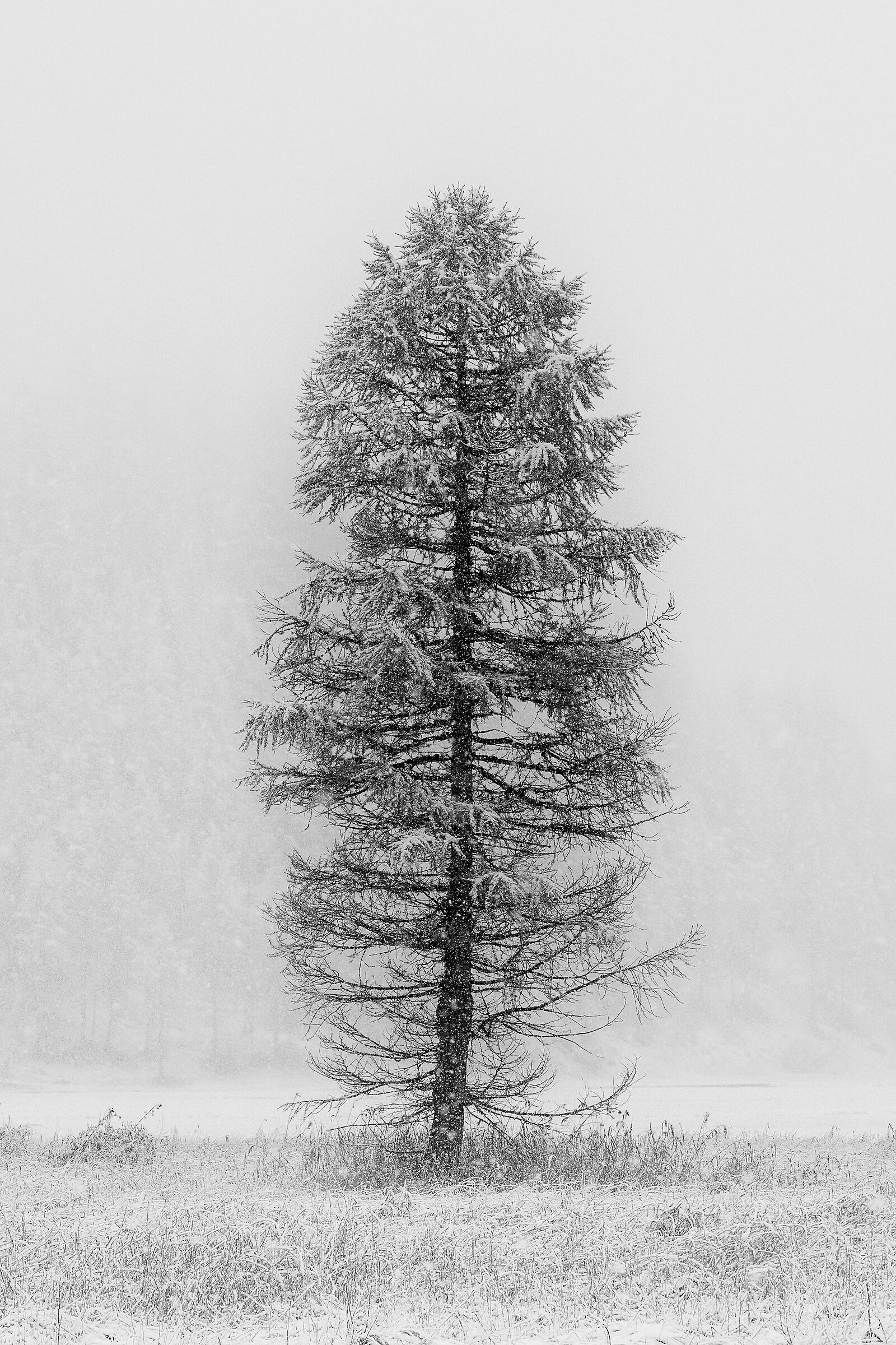 Standing alone