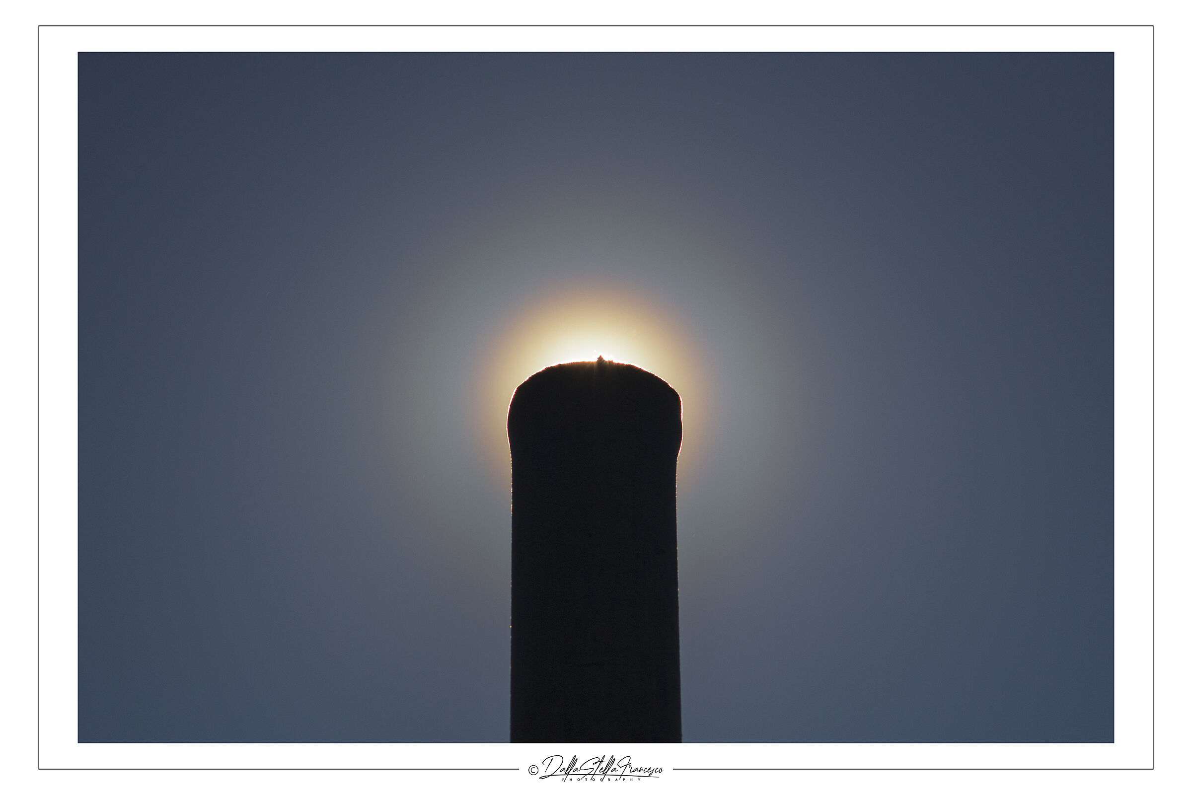 Solar corona generated by pollen