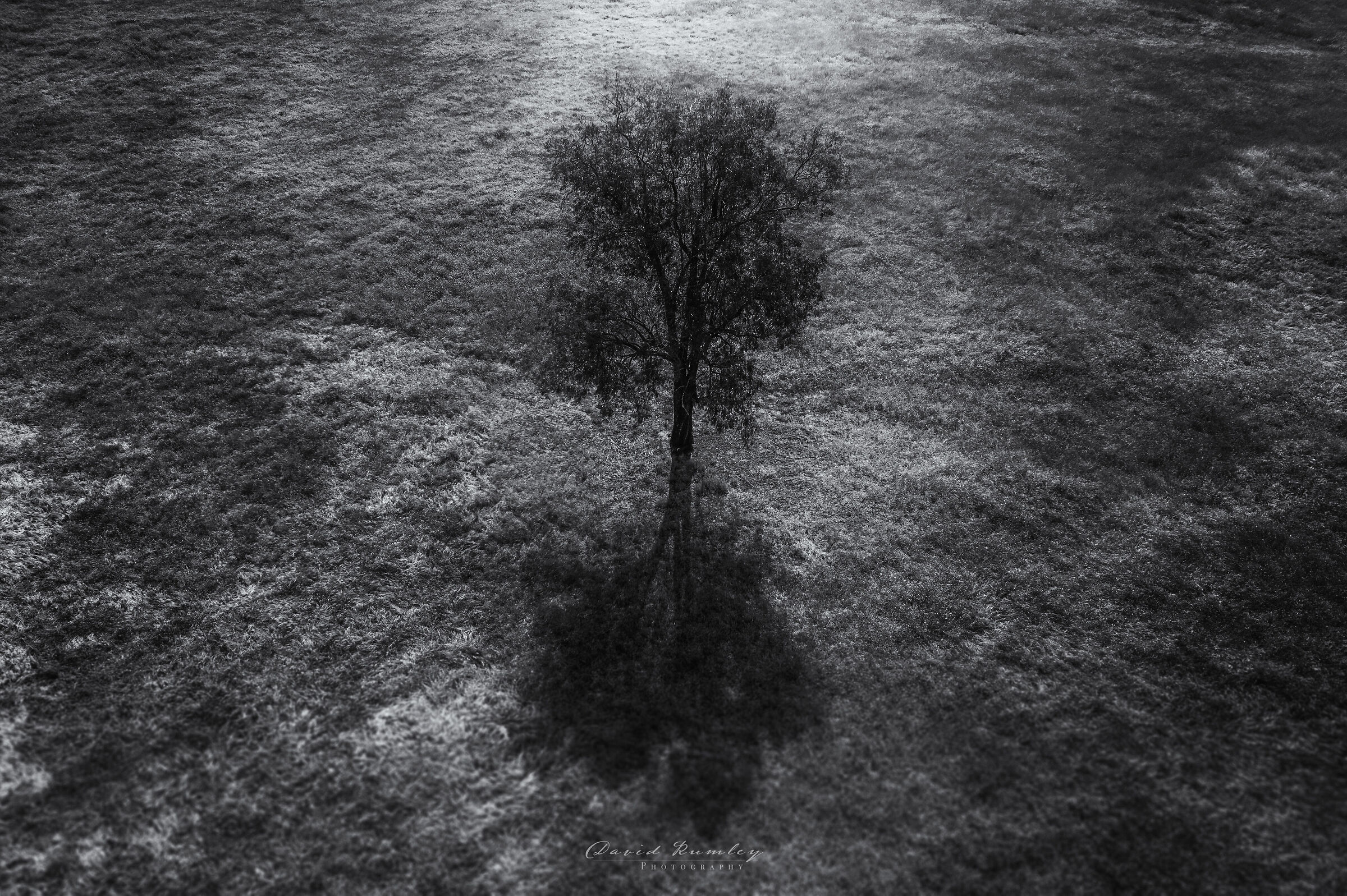 Loneliness beget darkness