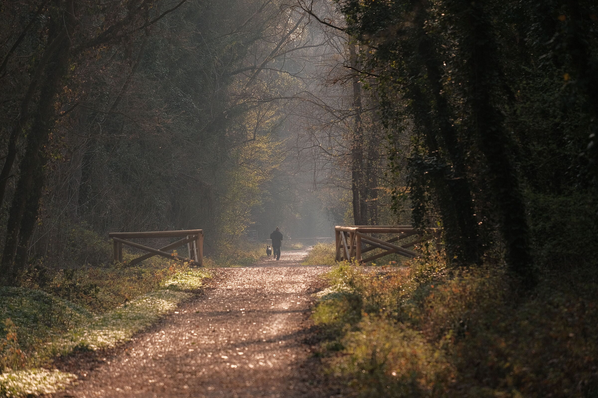 Early in the morning