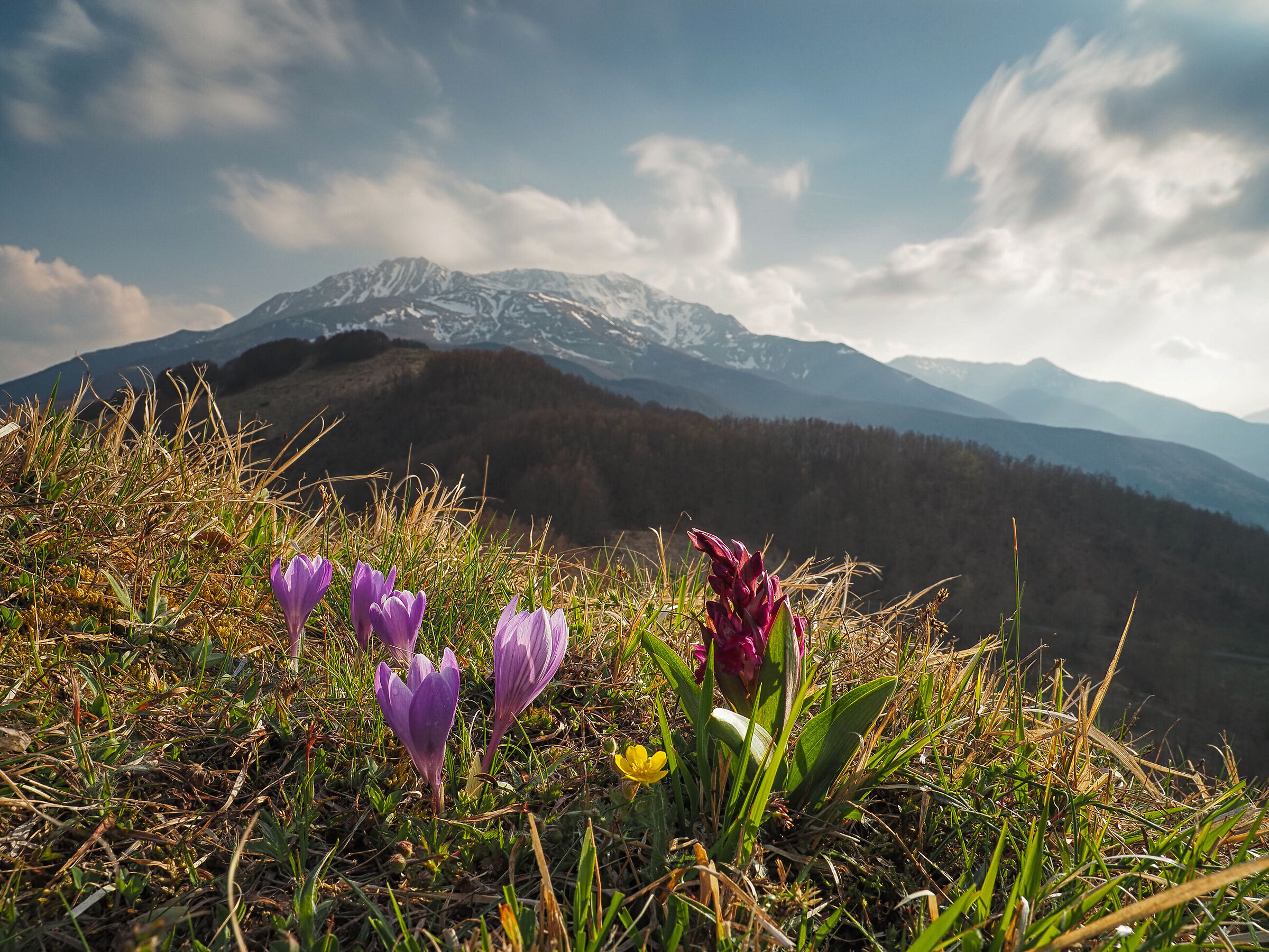 A mazzolin of flowers....