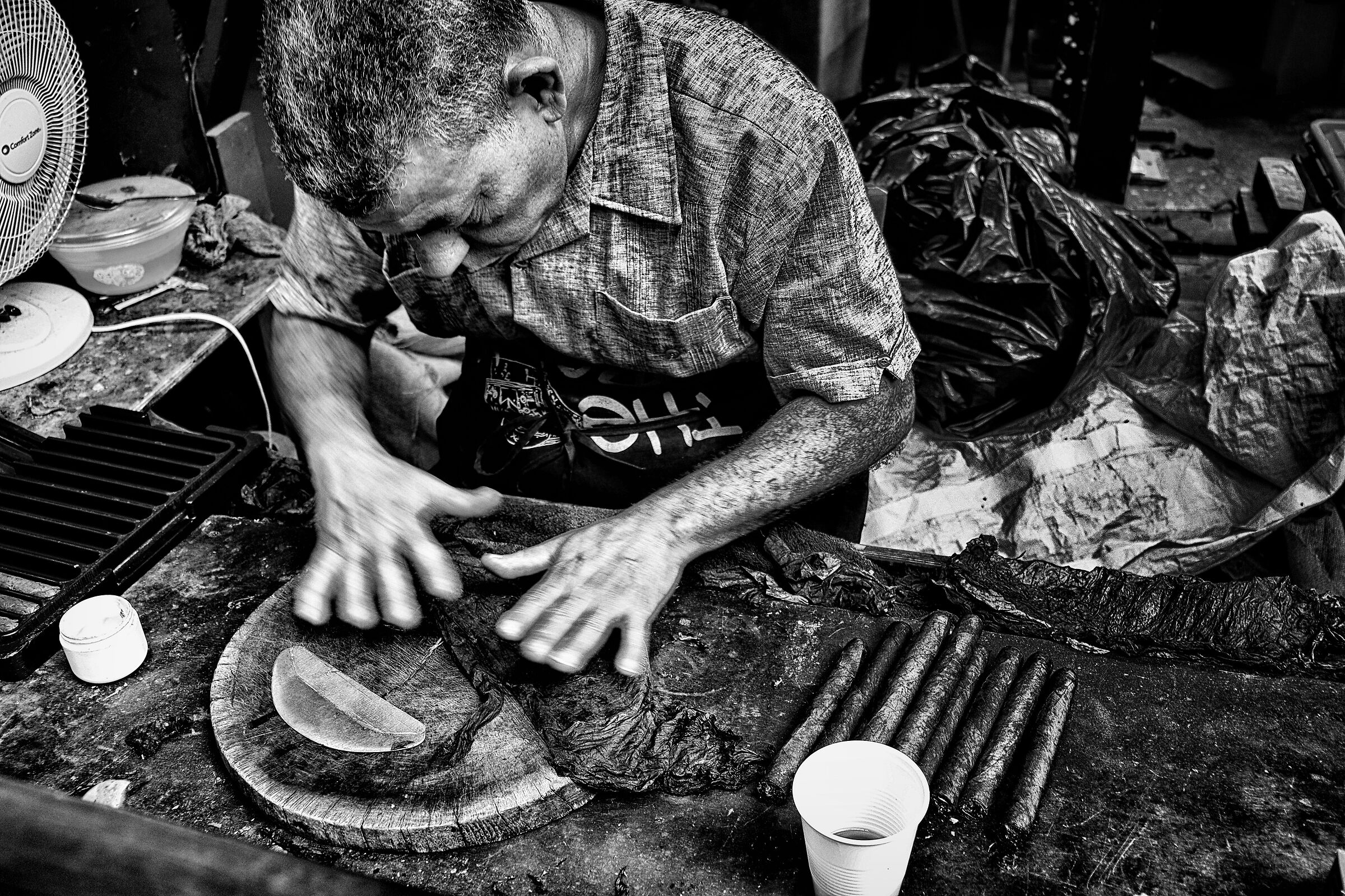 Untitled Photo