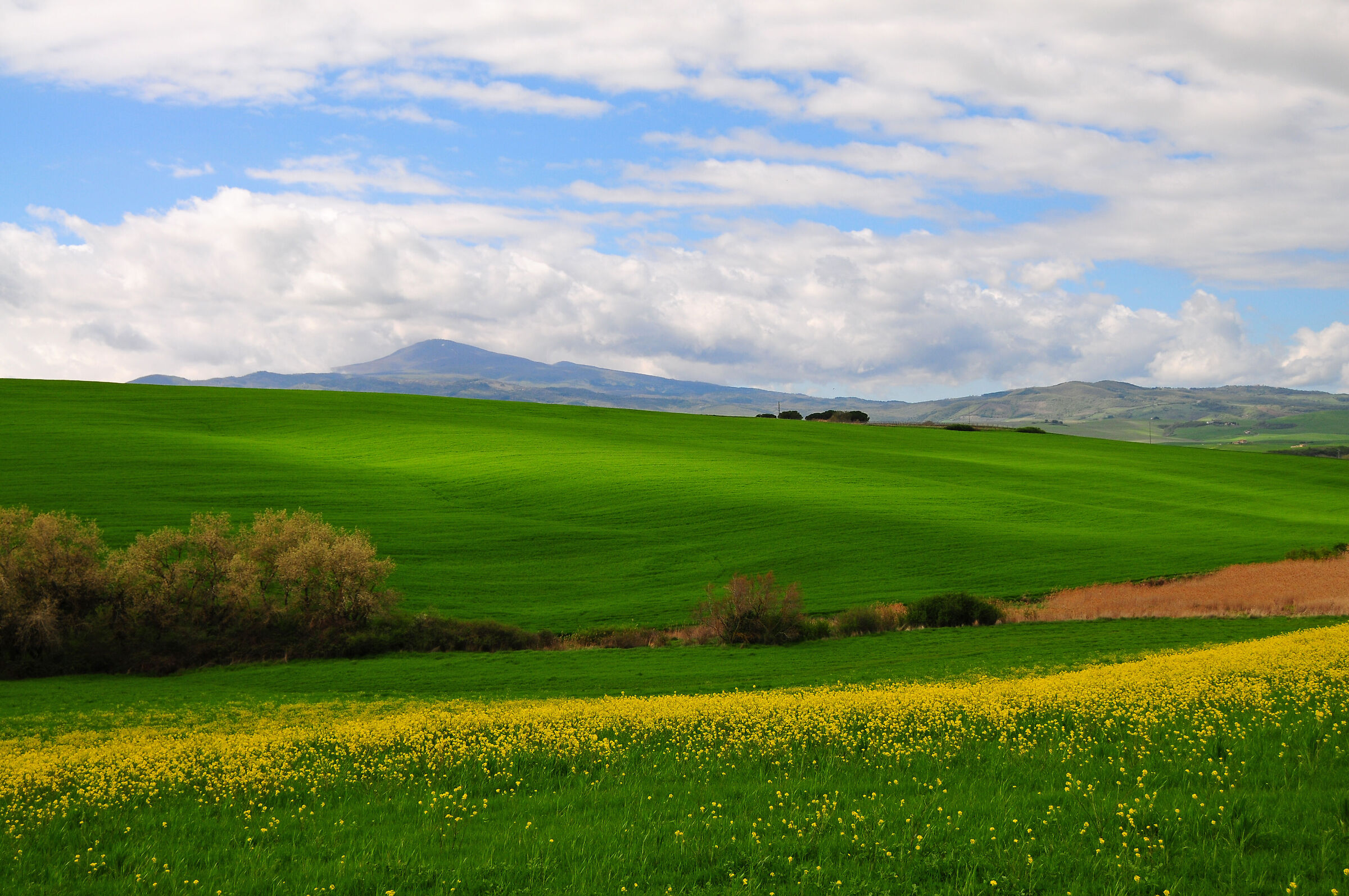 Amiata - Val d'Orcia