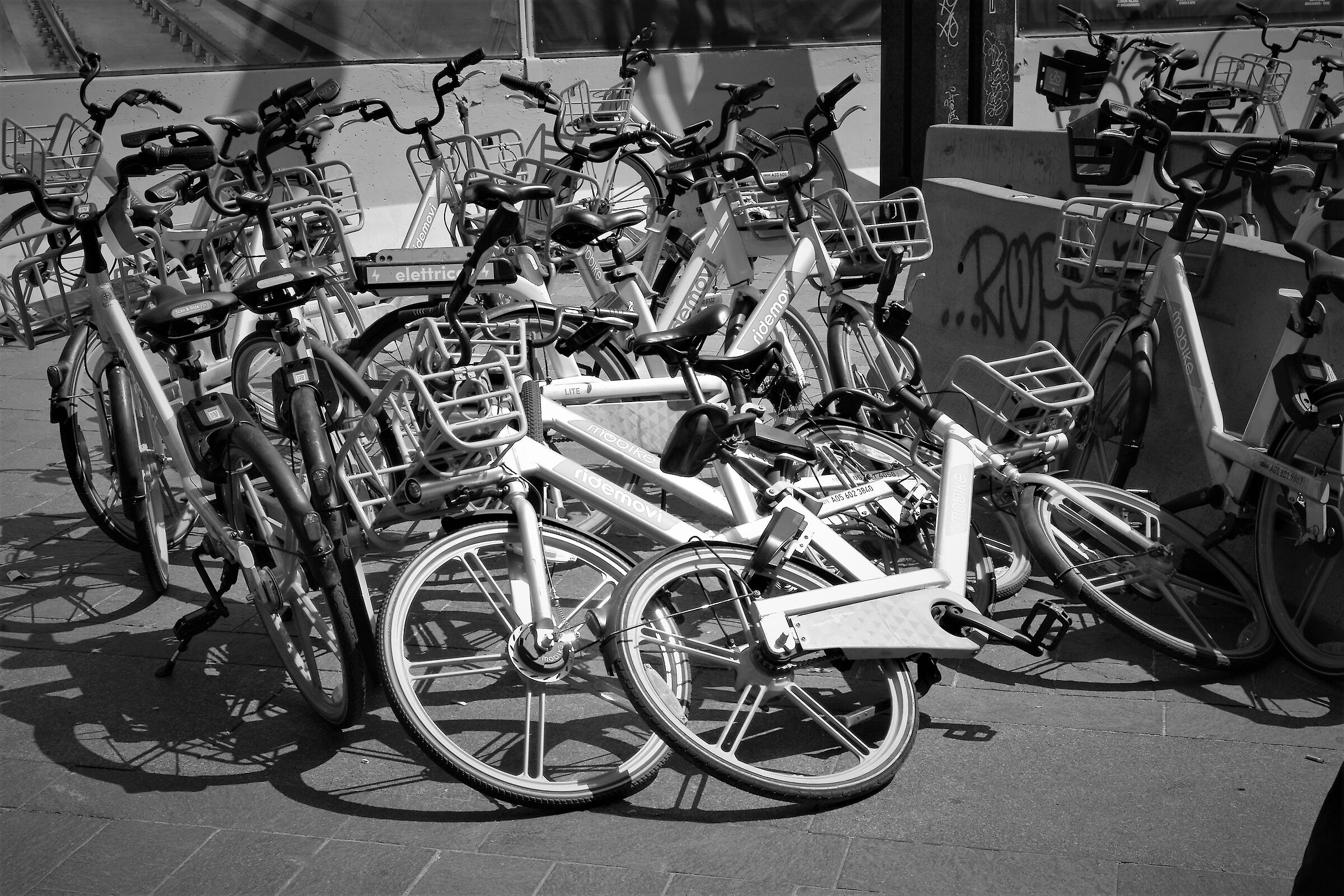 Insalata mista di...biciclette!