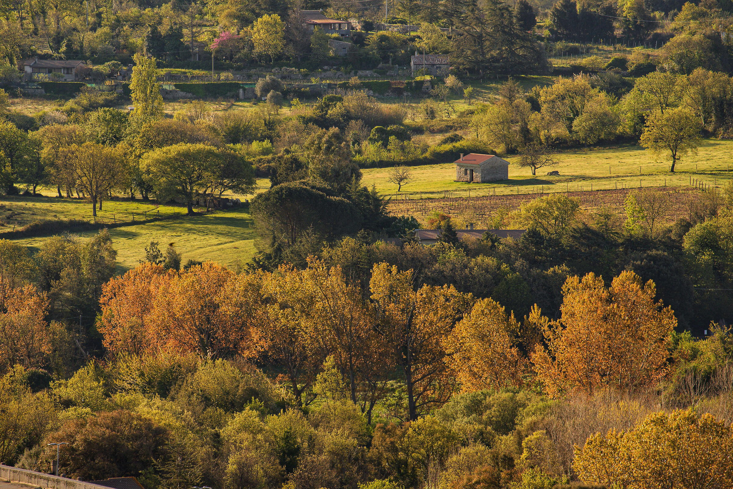 Uno scatto in quarantena