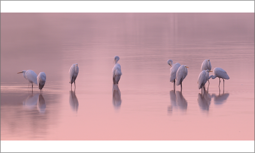 before the sun comes up