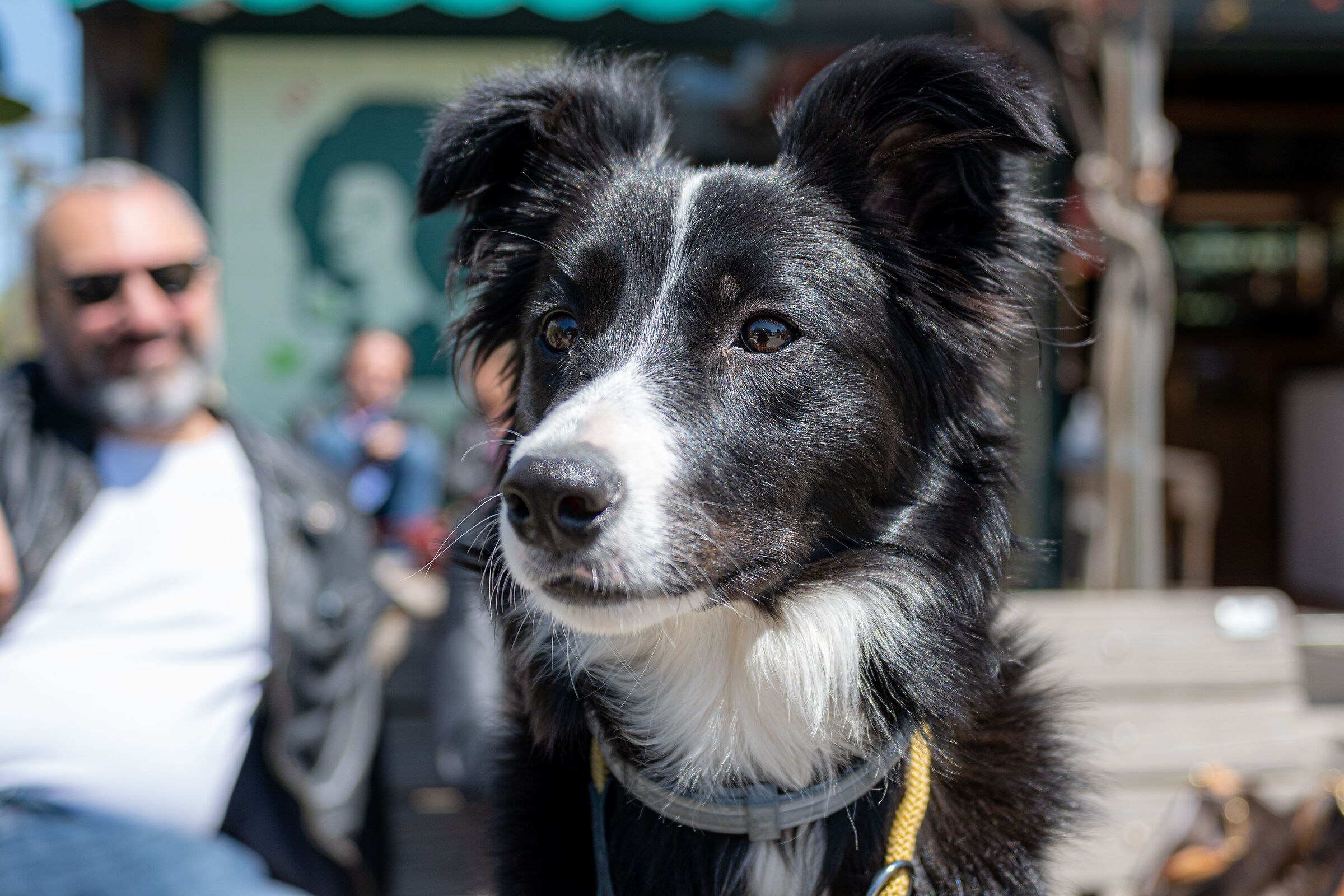 Asia (prova zfc+28mm)