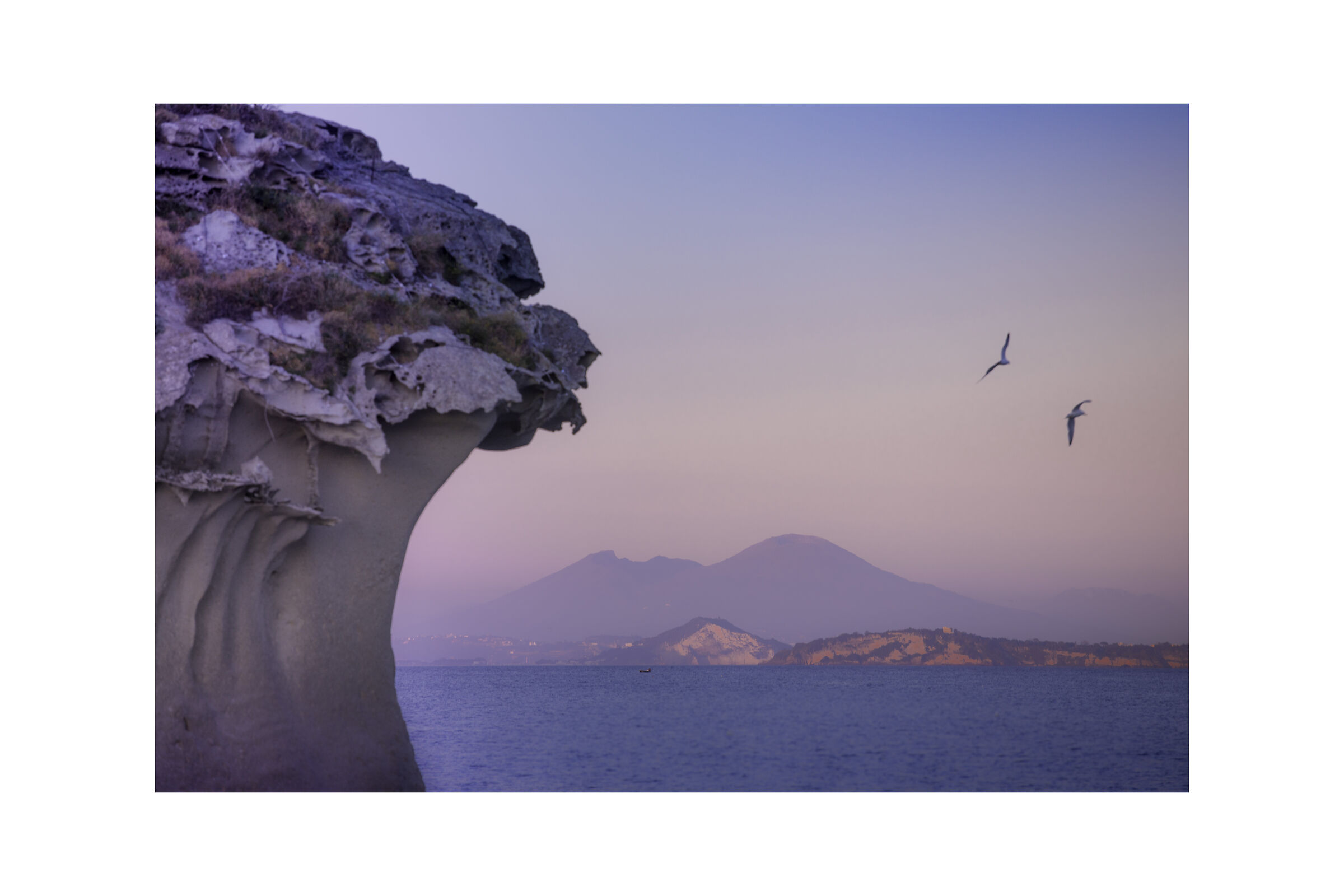Mushroom of Lacco Ameno and Vesuvius of Naples
