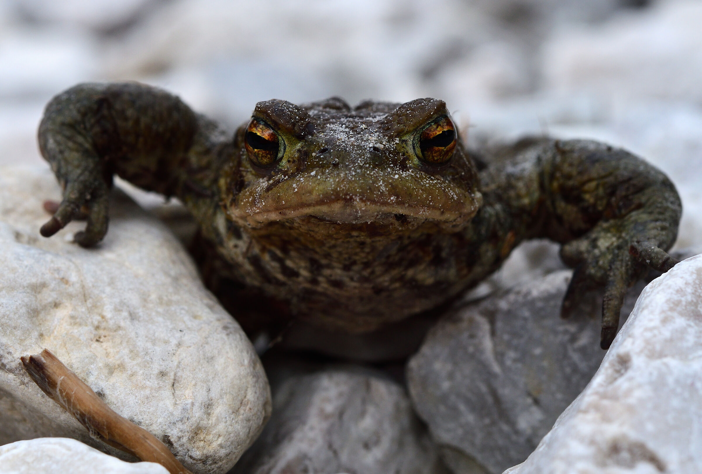 What are you doing here?