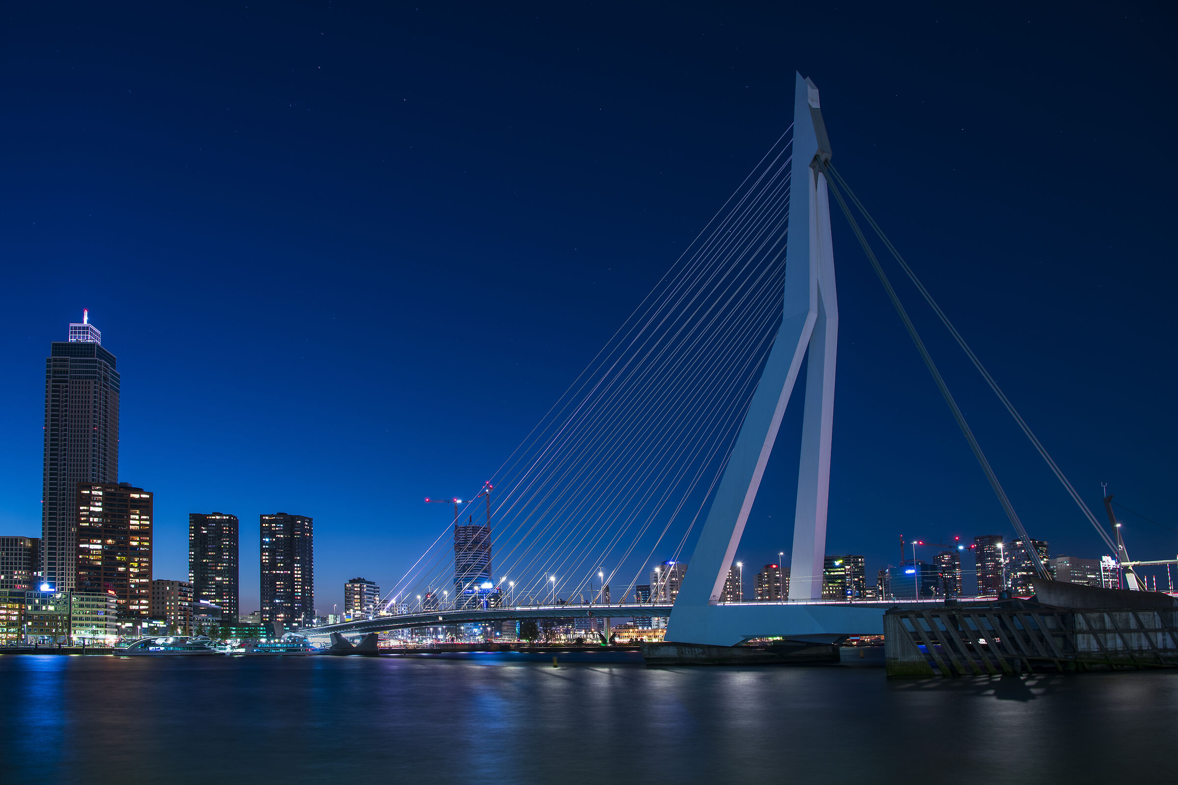 Erasmusbrug