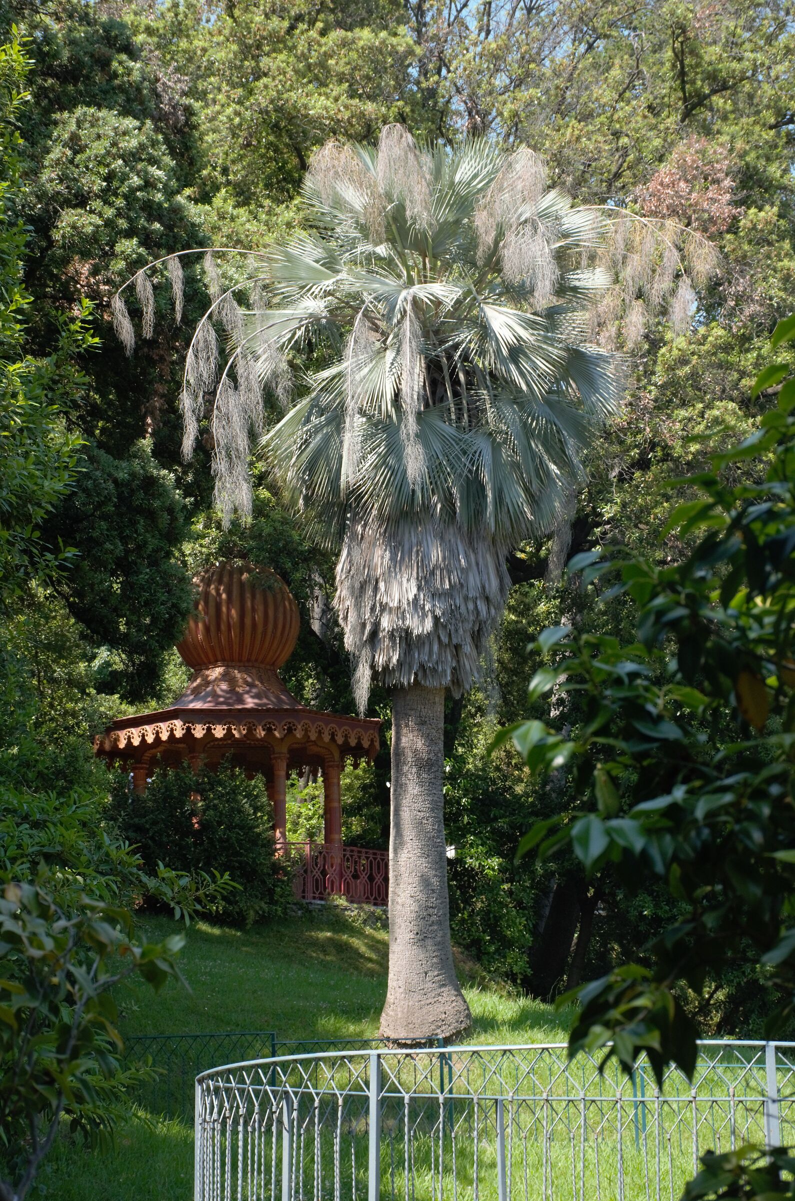 GenoaVillaPallavicini