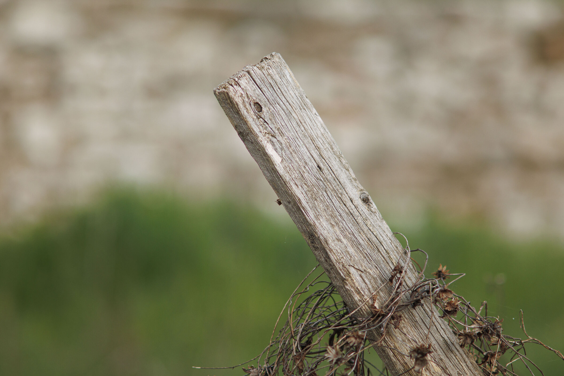 Old Table
