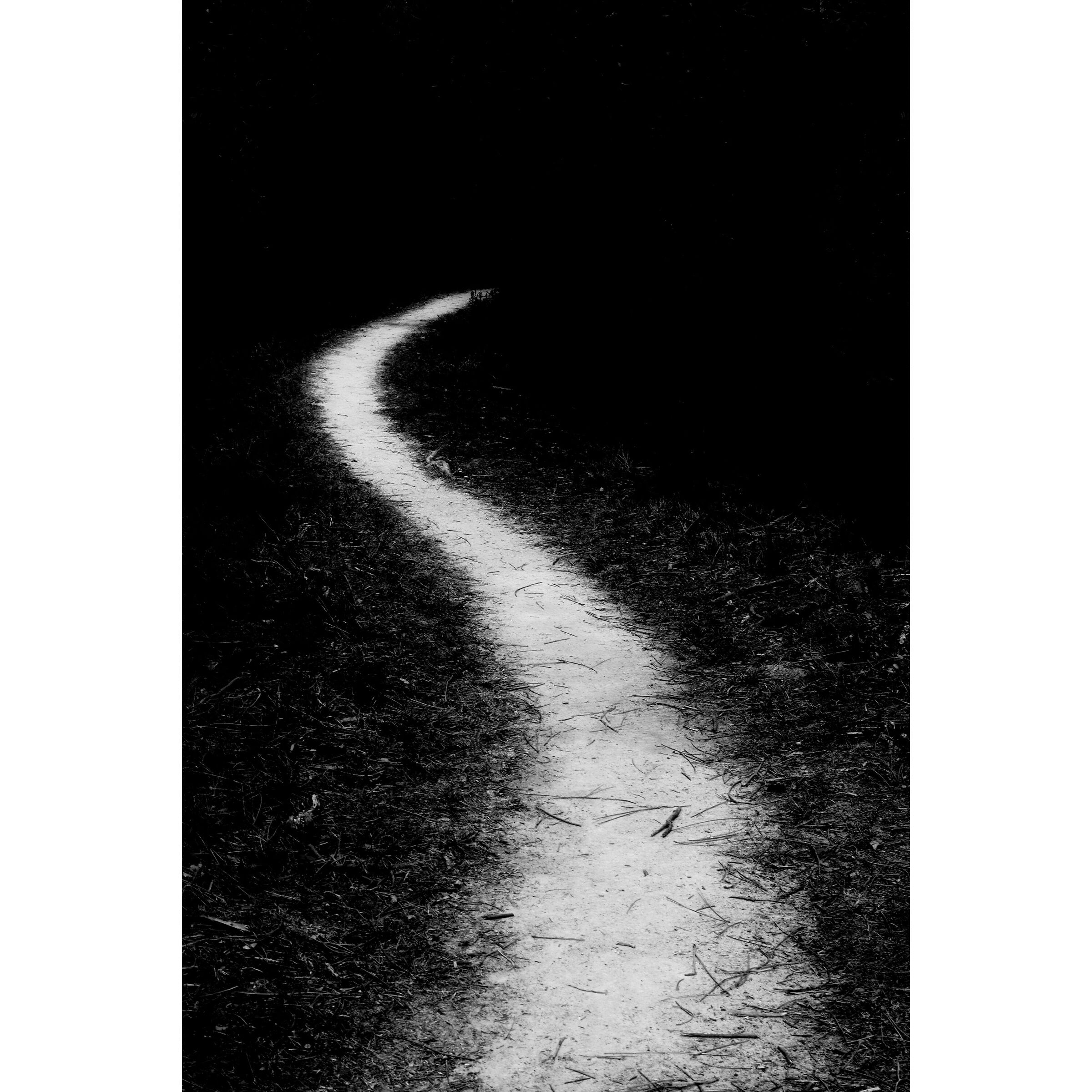 Untitled Photo