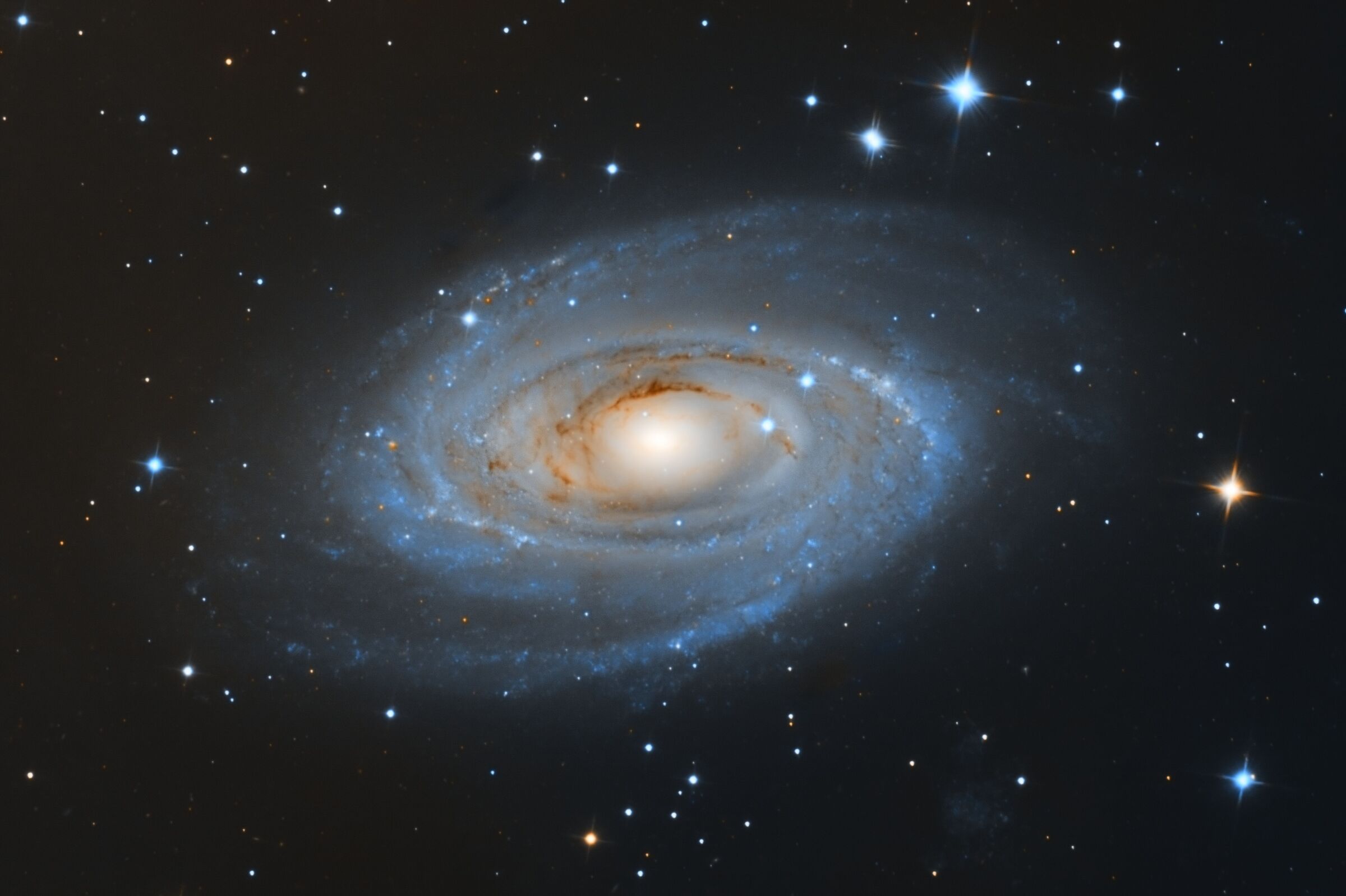 Bode Galaxy - M81