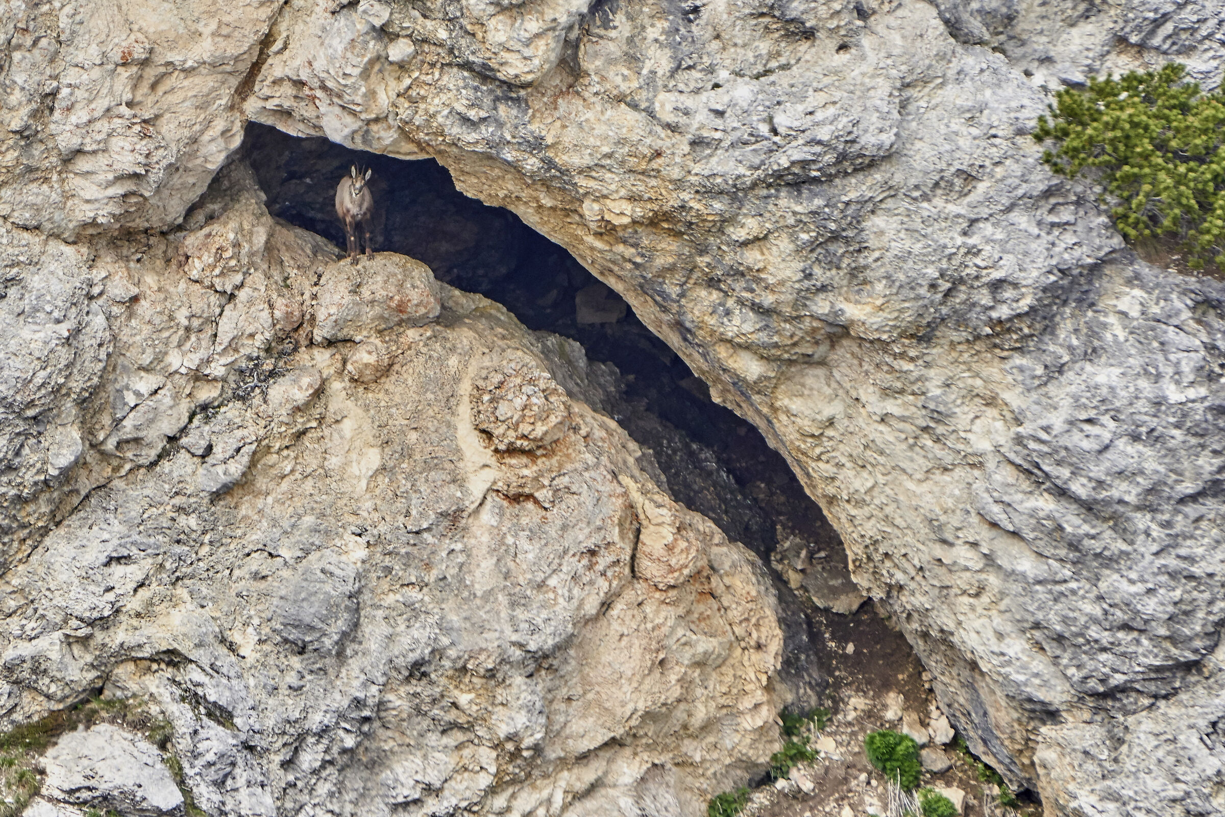All'ombra della grotta