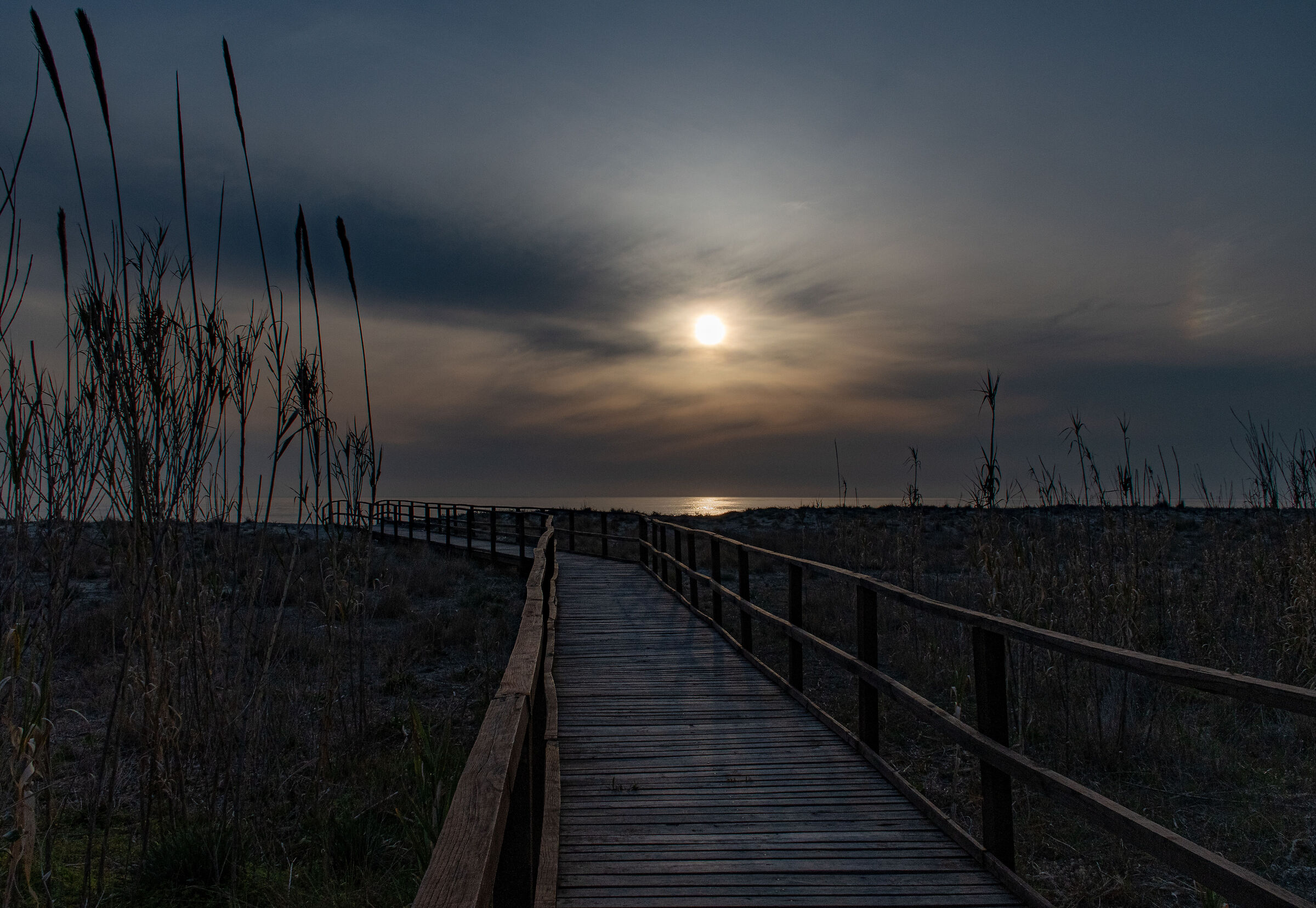 Marina di Ascea #2