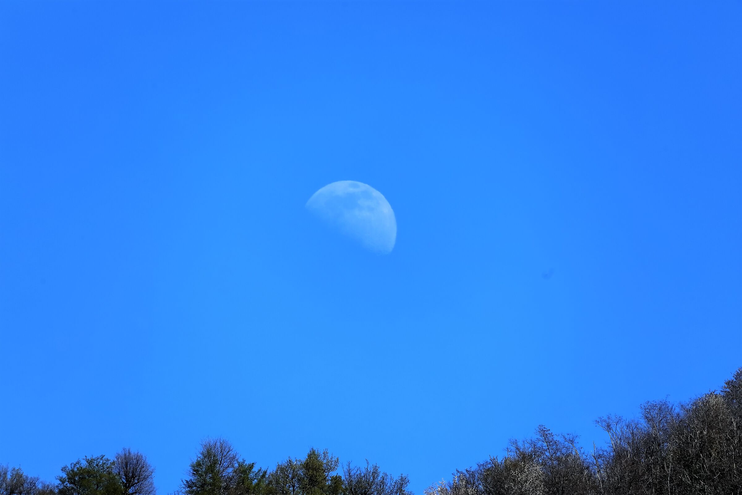 moon 10-04-2022