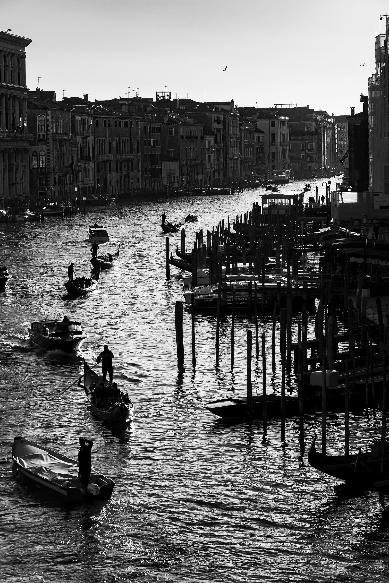 traffico