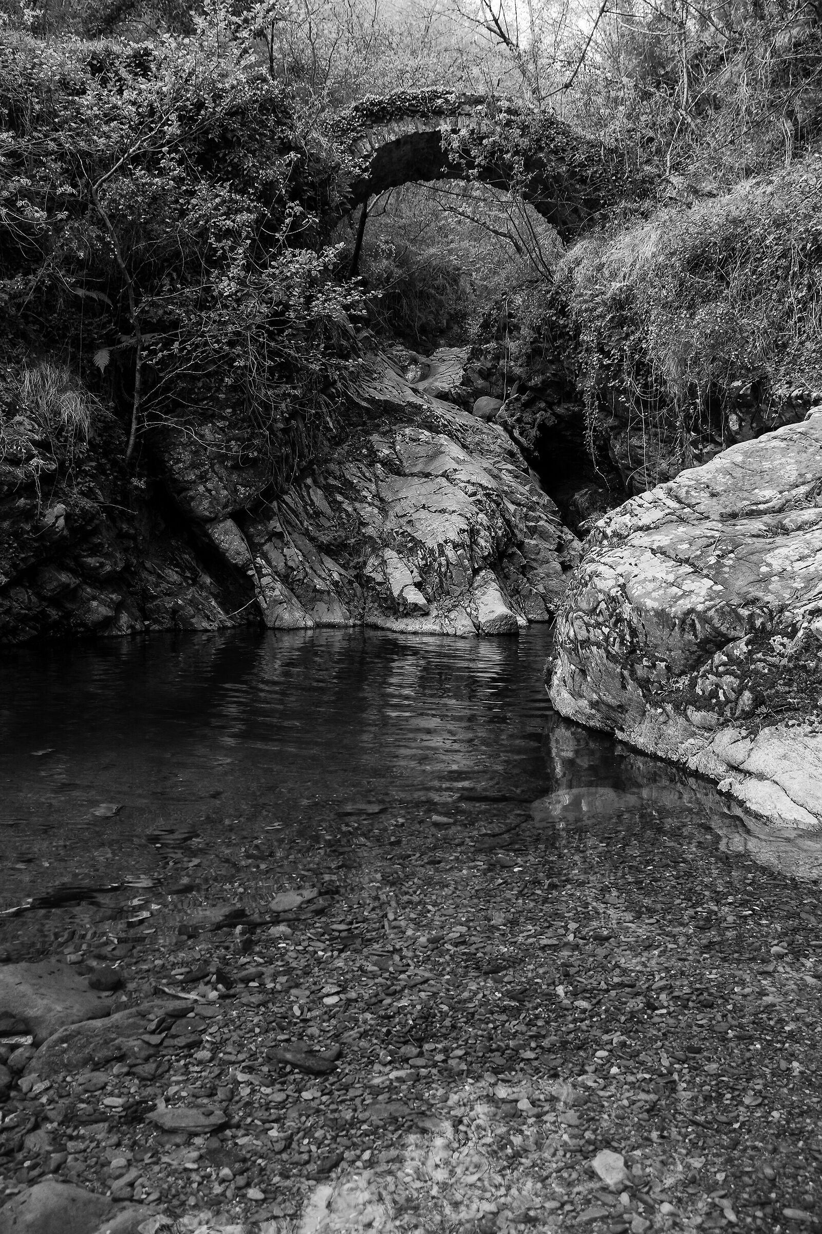 Il fiumiciattolo e il ponticello