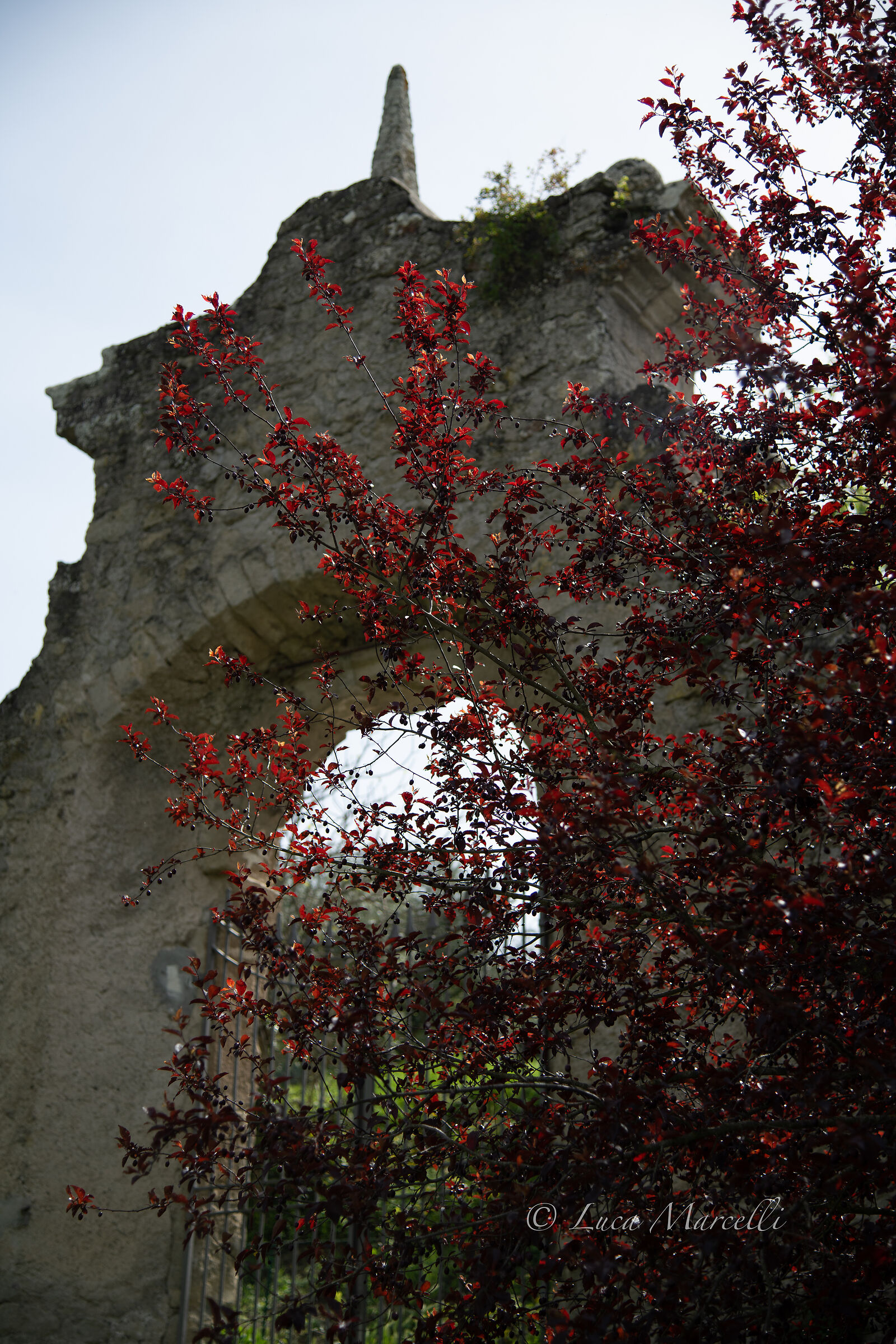 The gate of the Sacred Grove