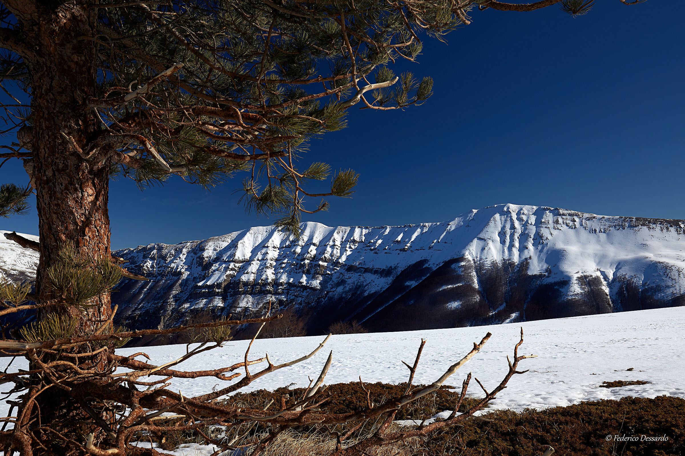 Monte Pizzalto-vista sul M.Porrara