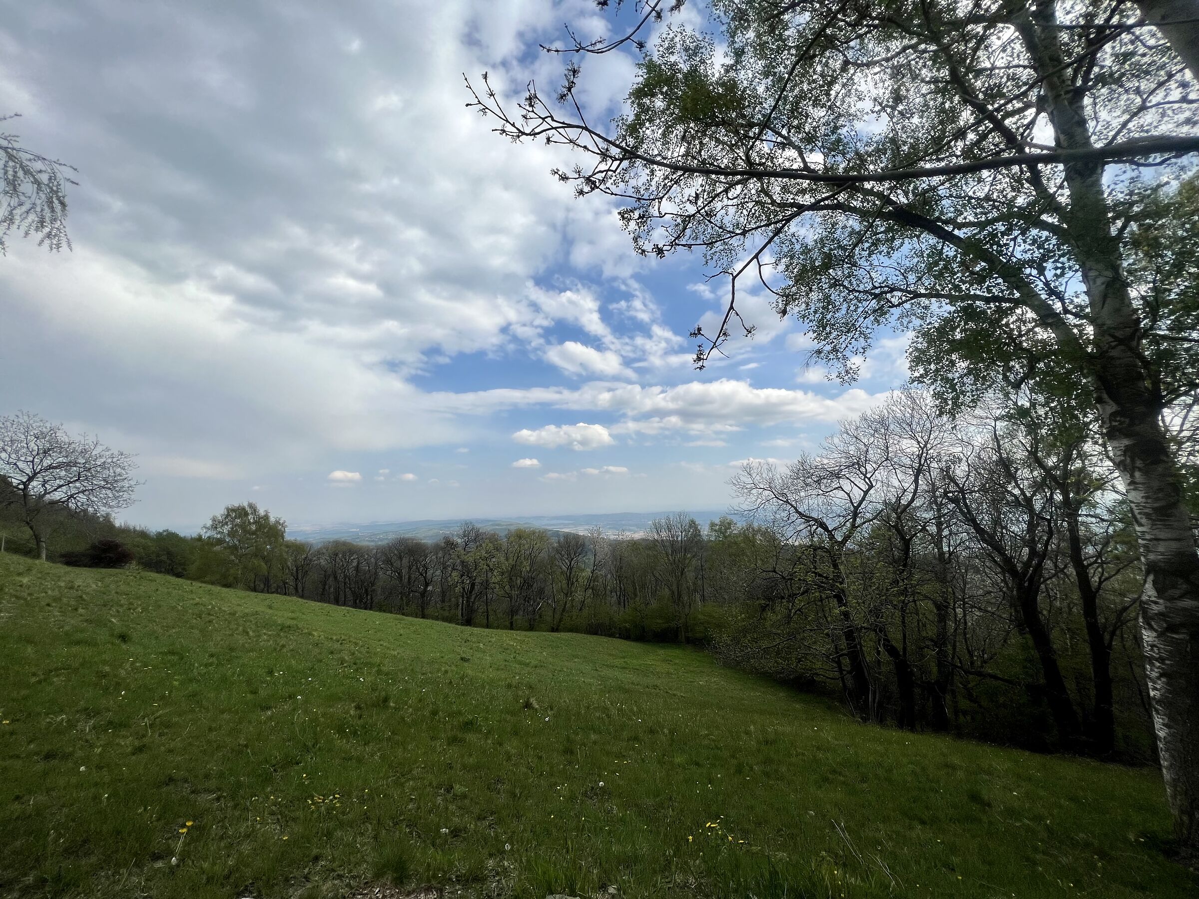 Panorama biellese