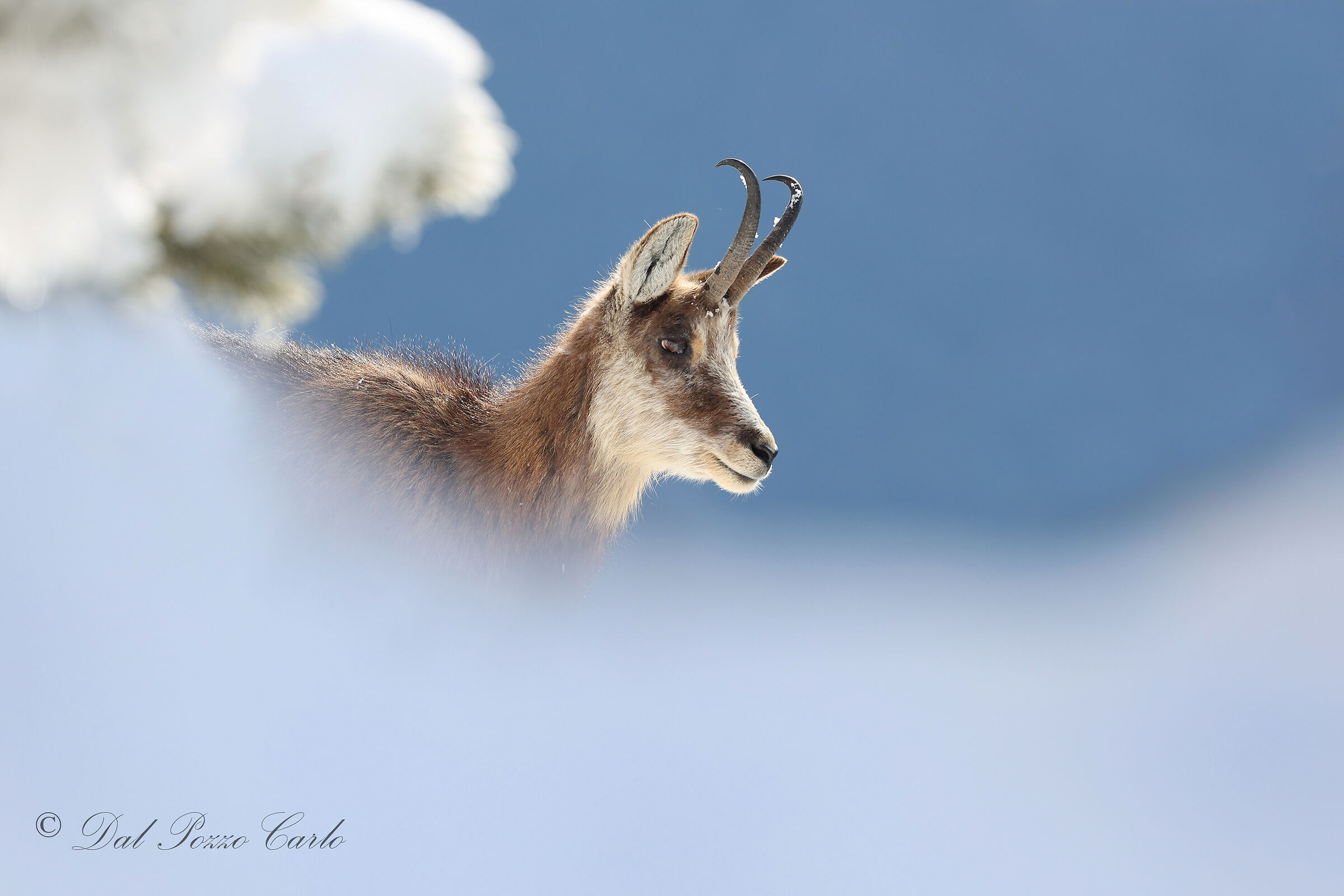 With your head in the clouds