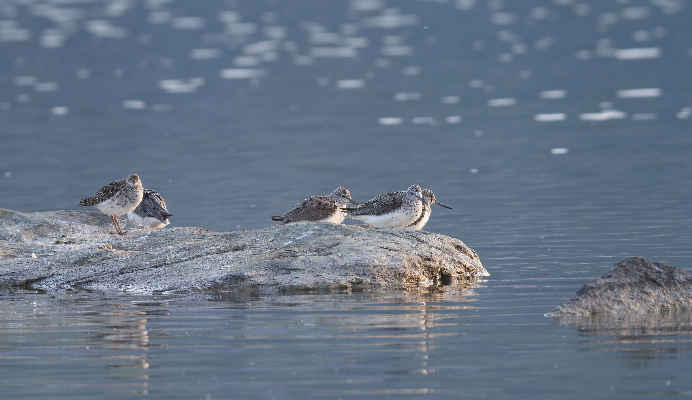 Quintetto