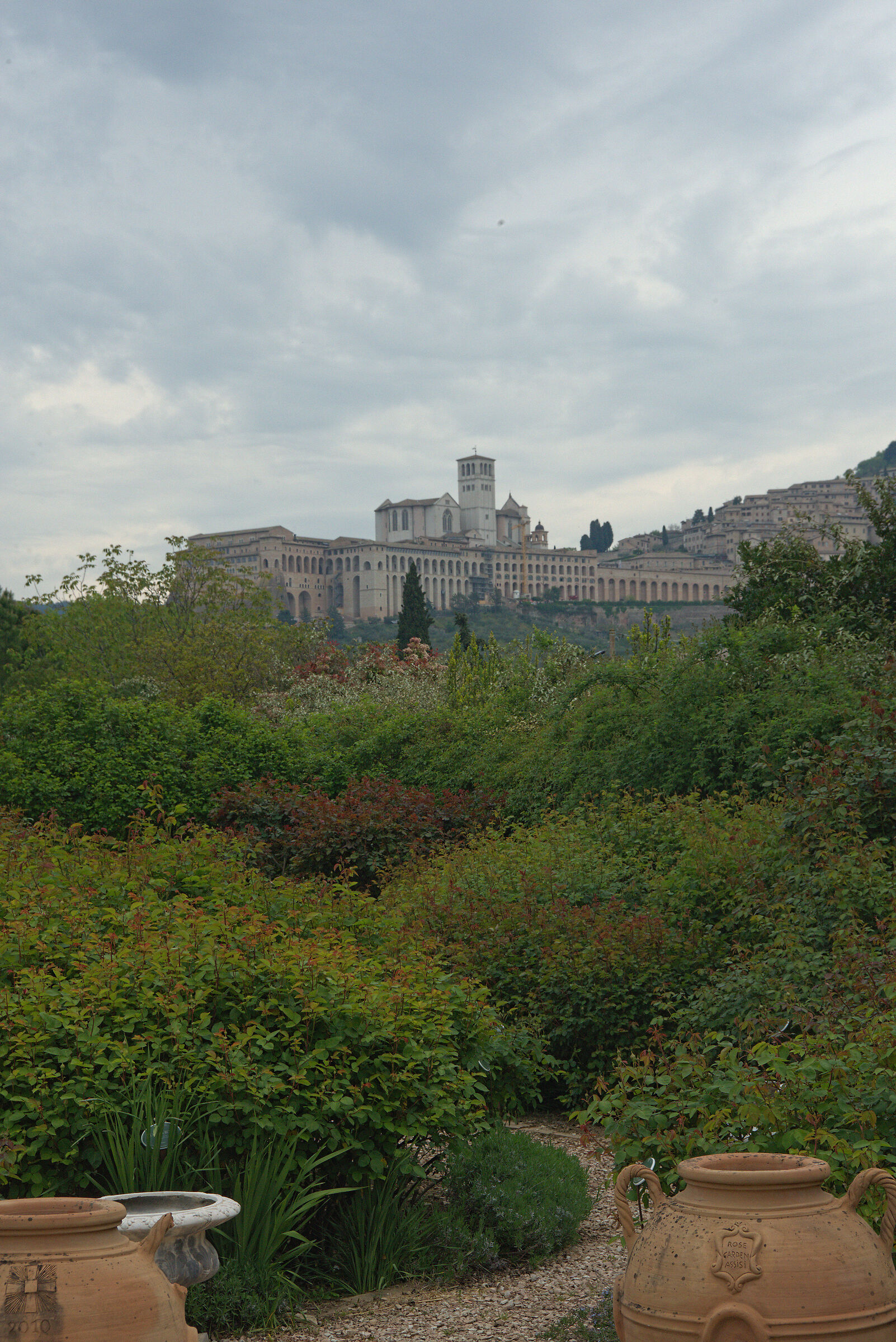 Assisi