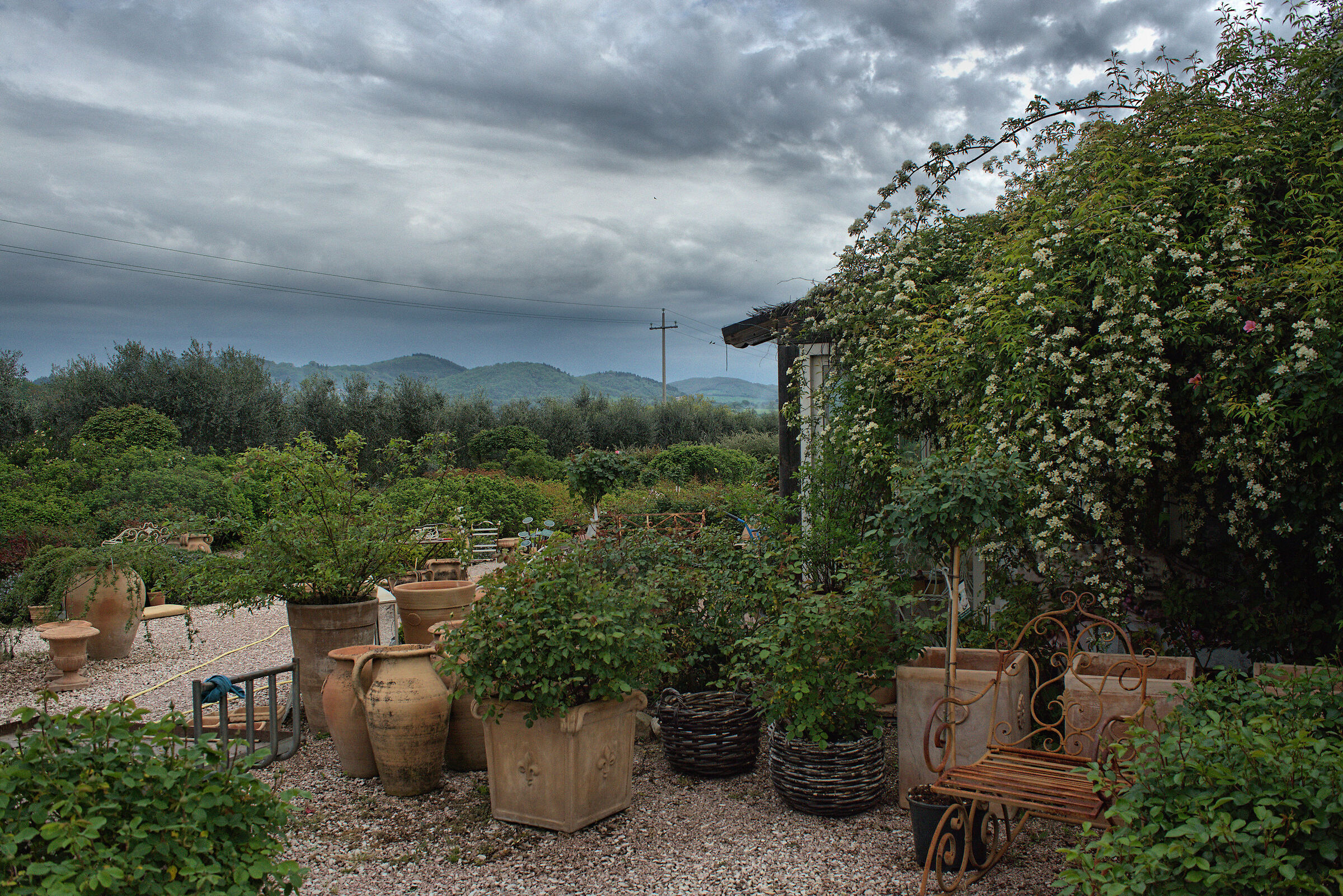 Umbrian countryside