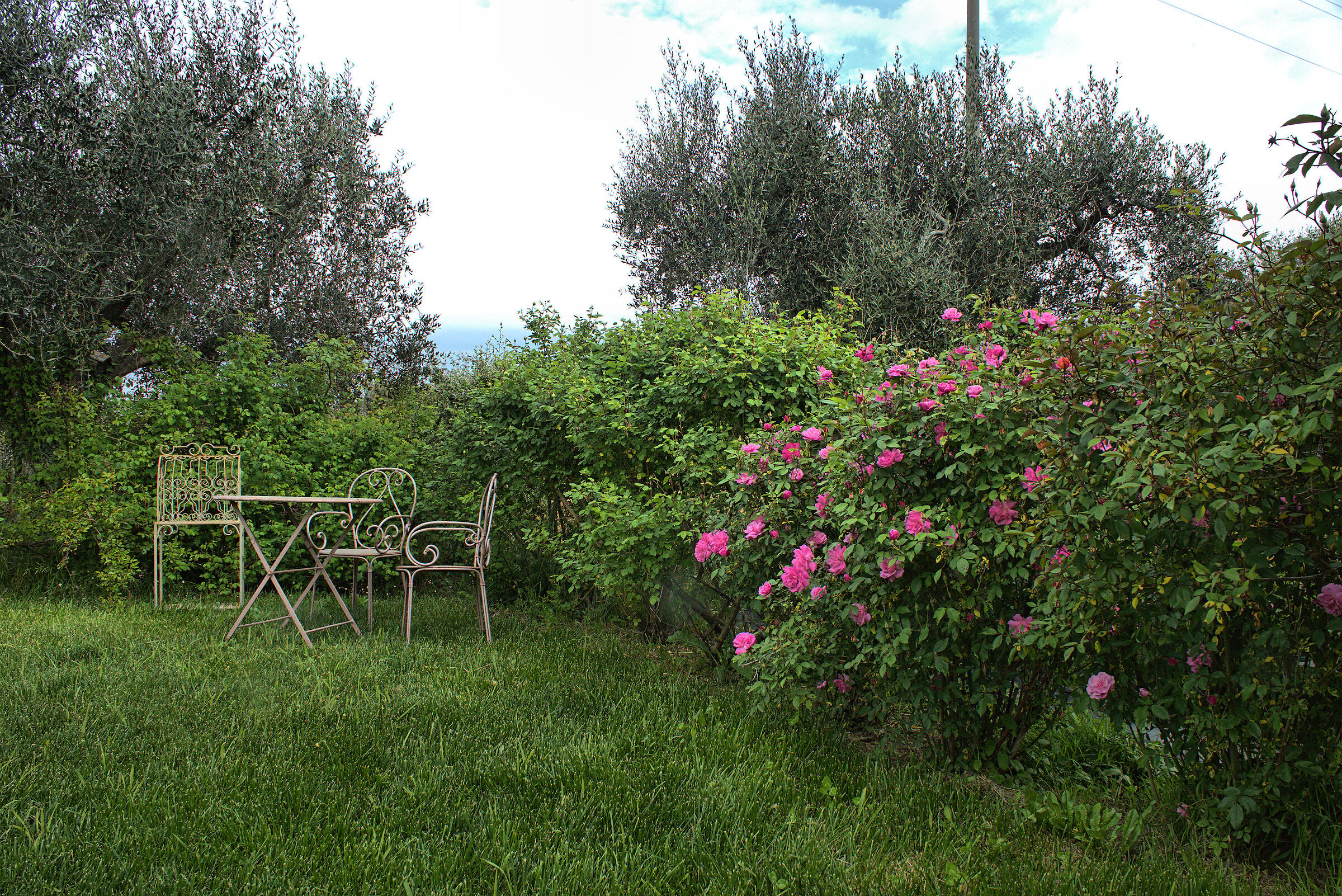 Umbrian countryside