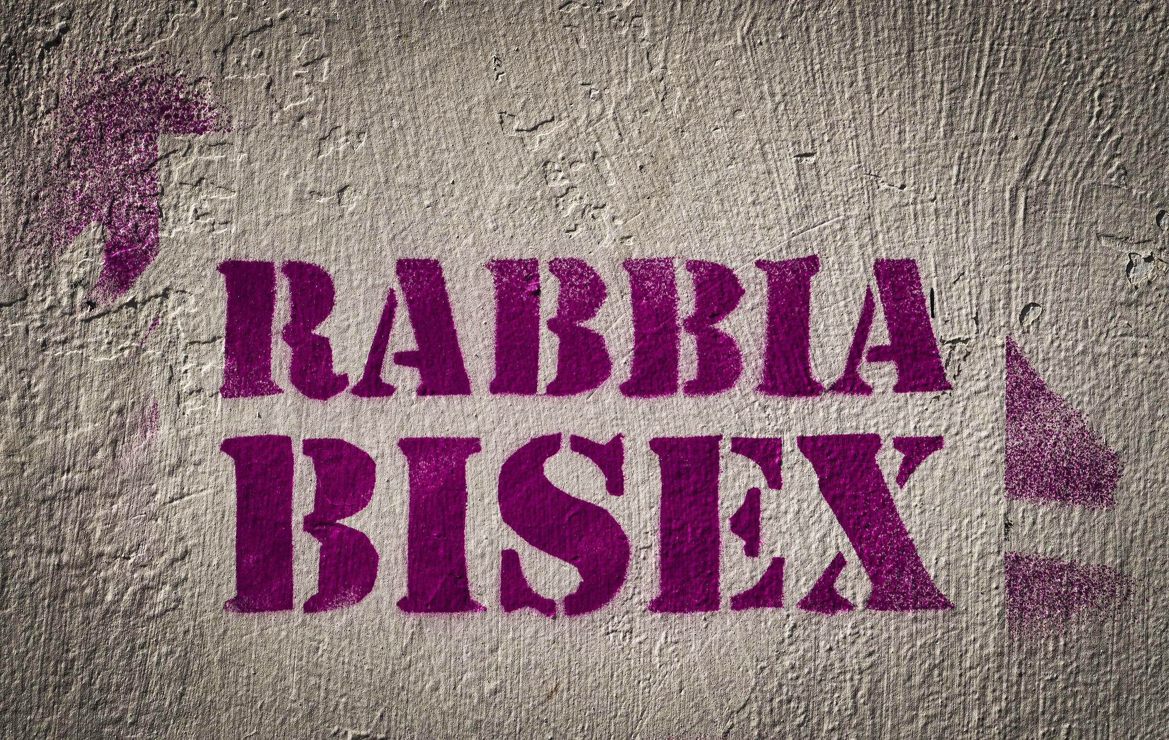 Rabies