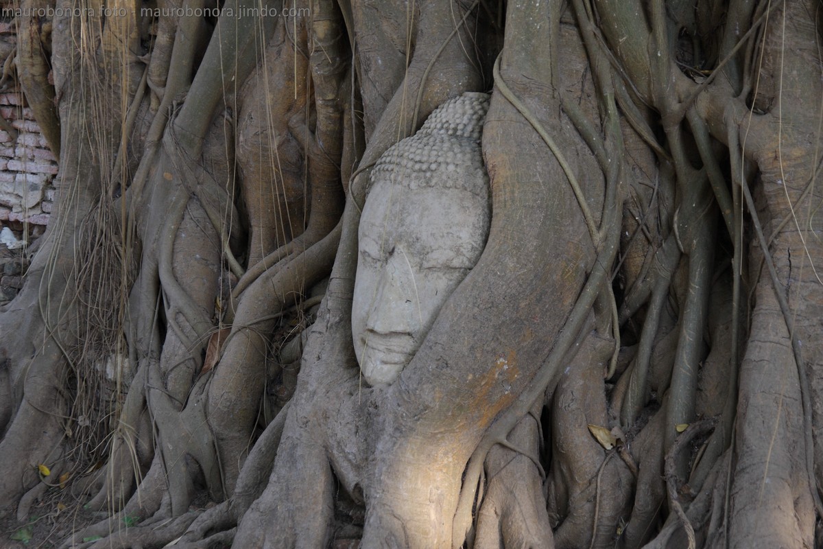 Ayutthaya (Thailandia)