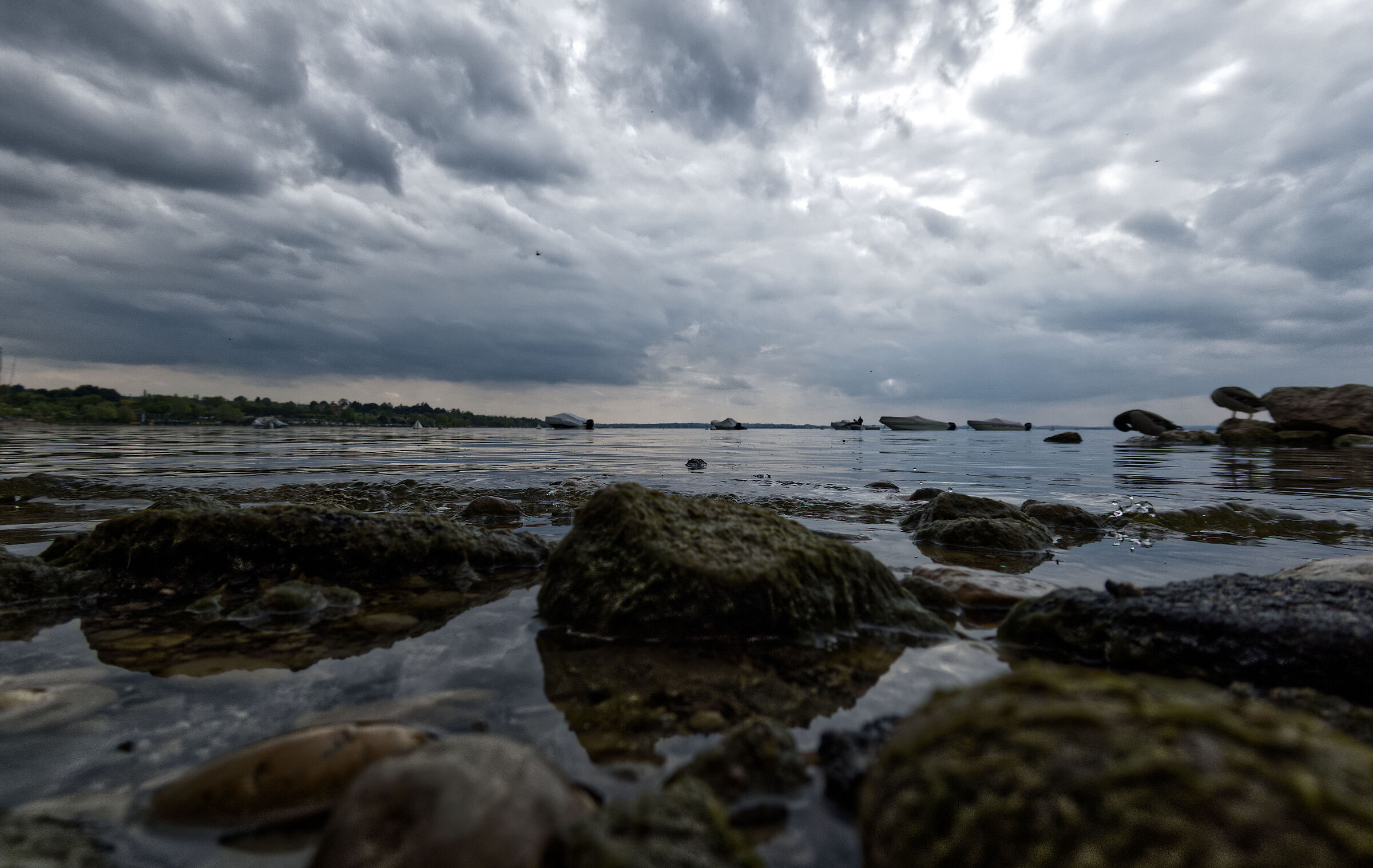 Lazise - Lago di Garda