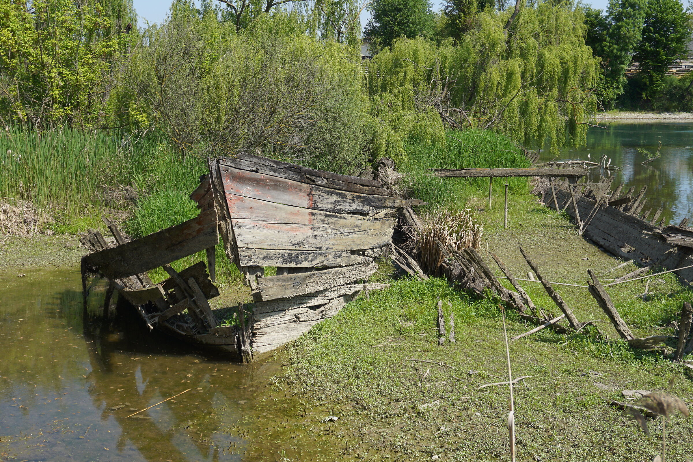 Wreck of a Burcio on the river Sile