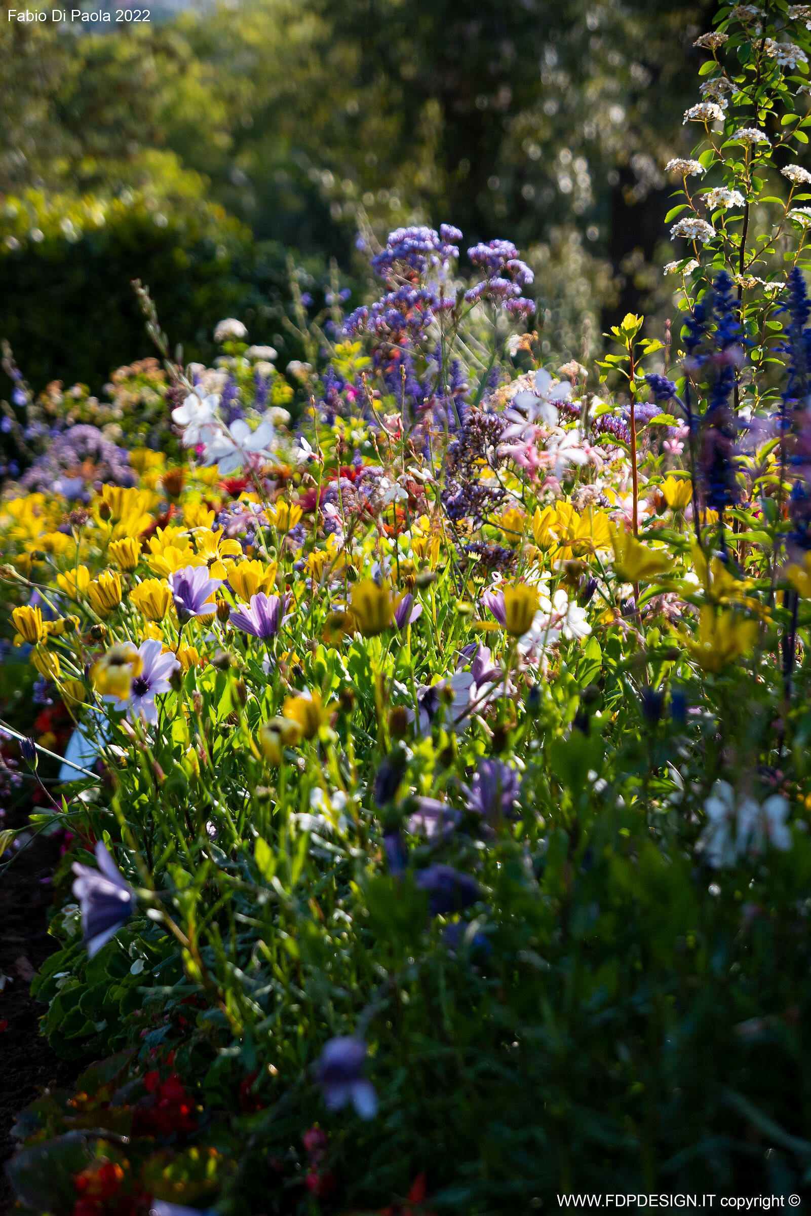 Euroflora - Colors