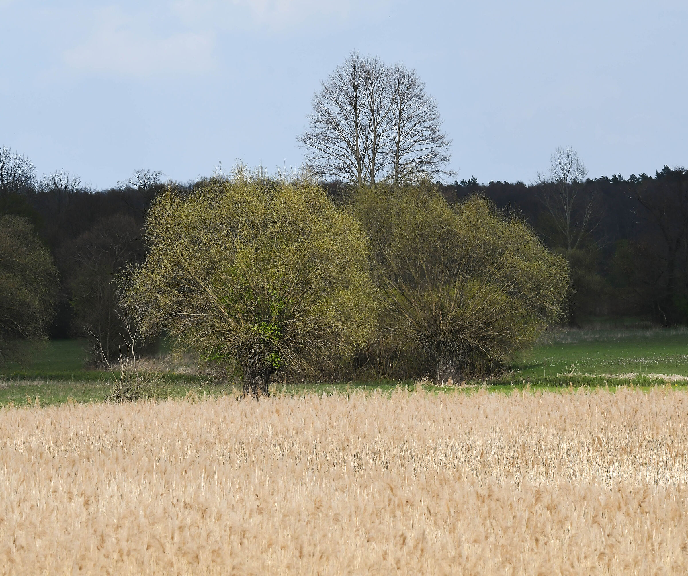 The Bug river valley