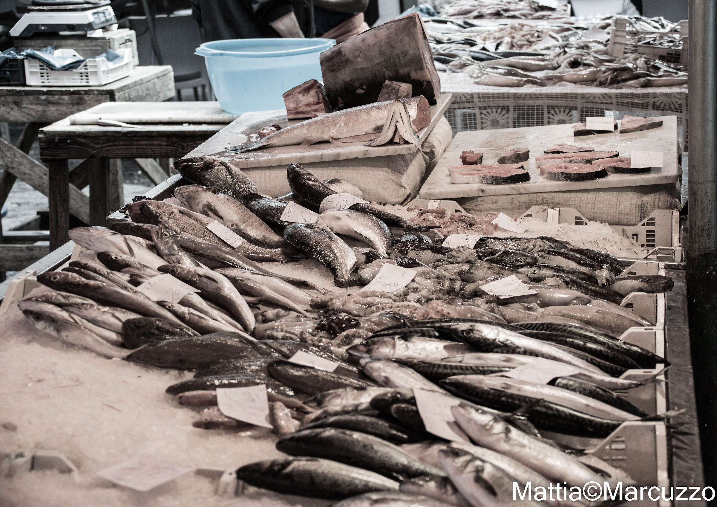 Mercato del pesce Catania
