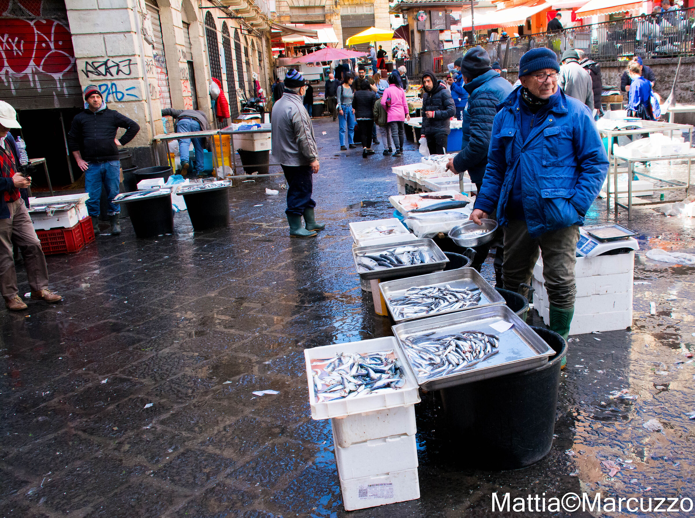 Mercato del pesce Catania