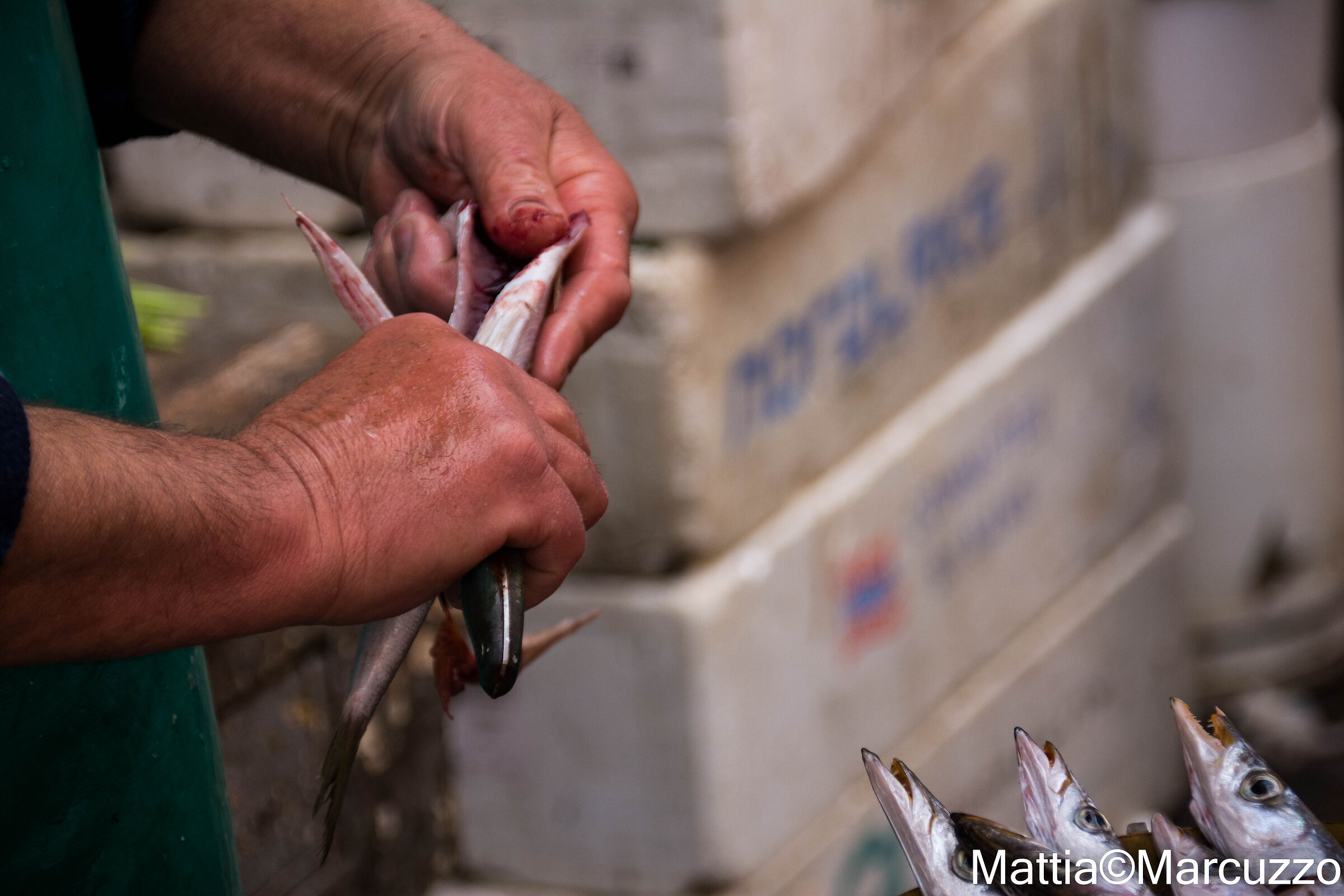 Mercato del pesce Catania