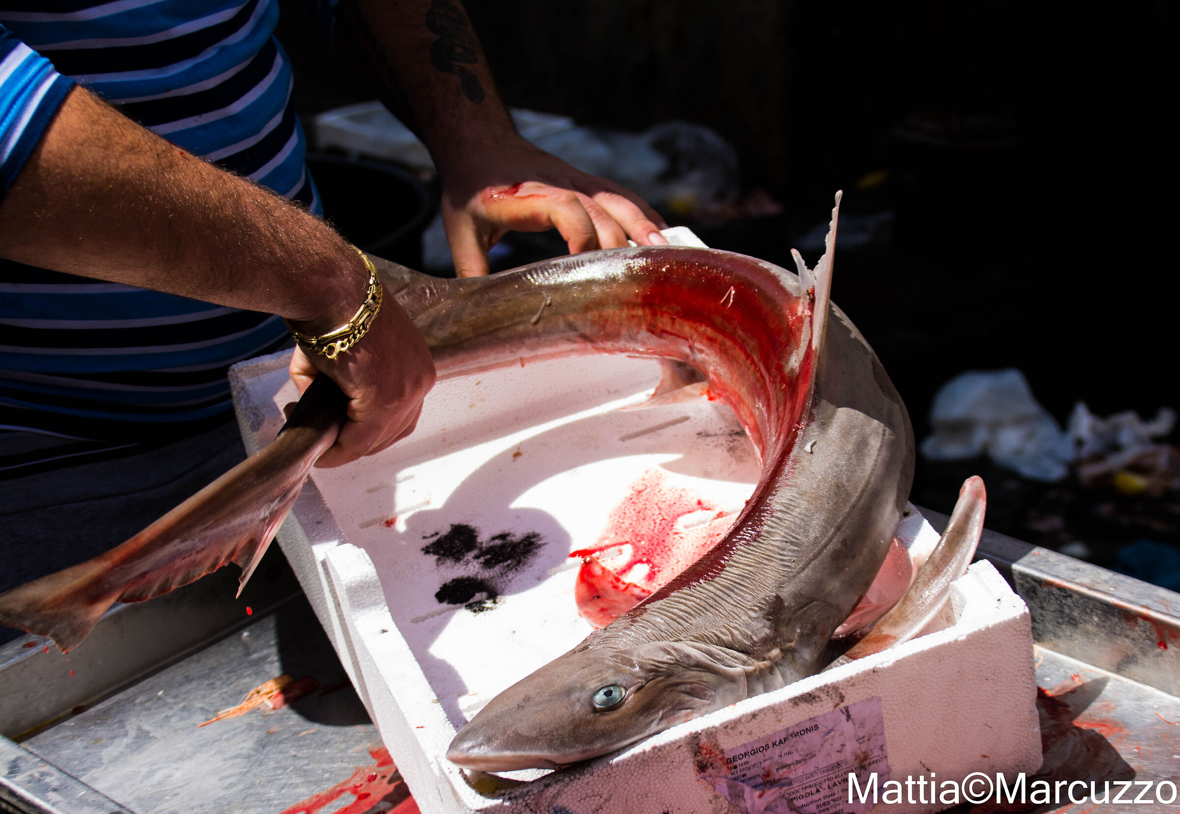 Mercato del pesce Catania