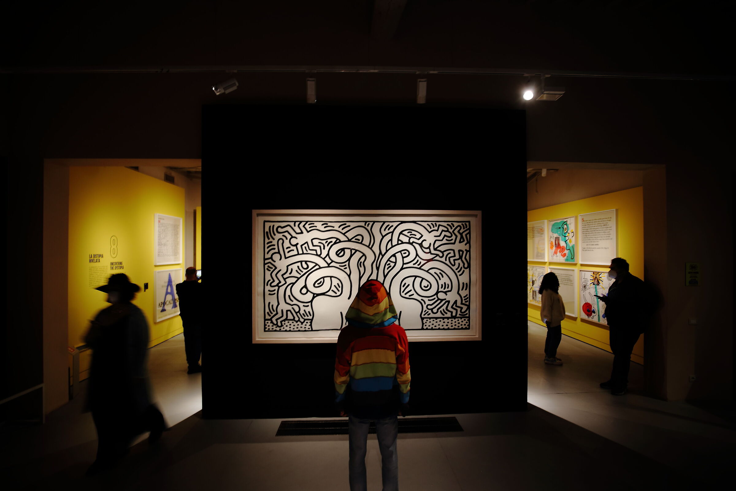 The reinterpretation of the Medusa