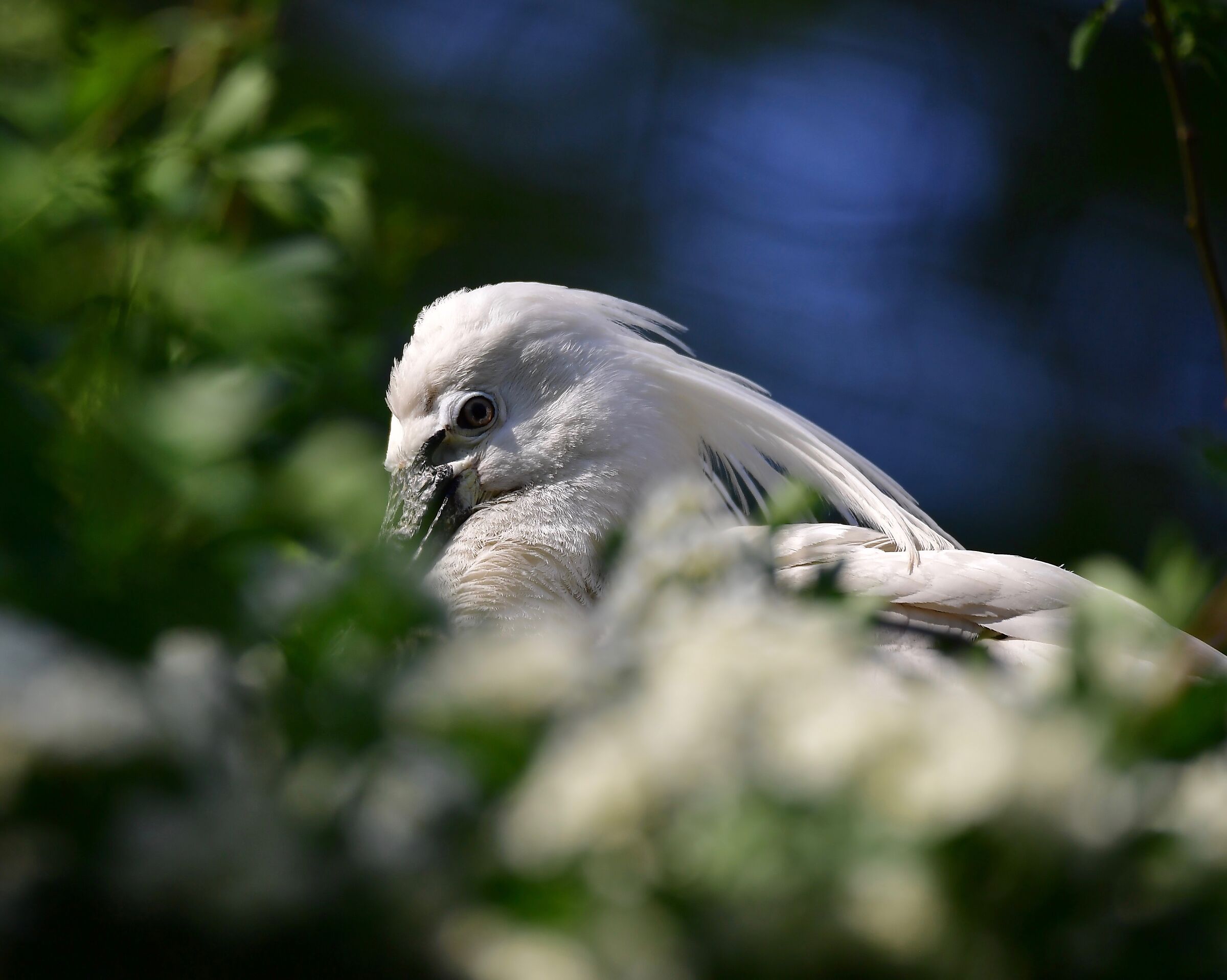 Untitled Photo