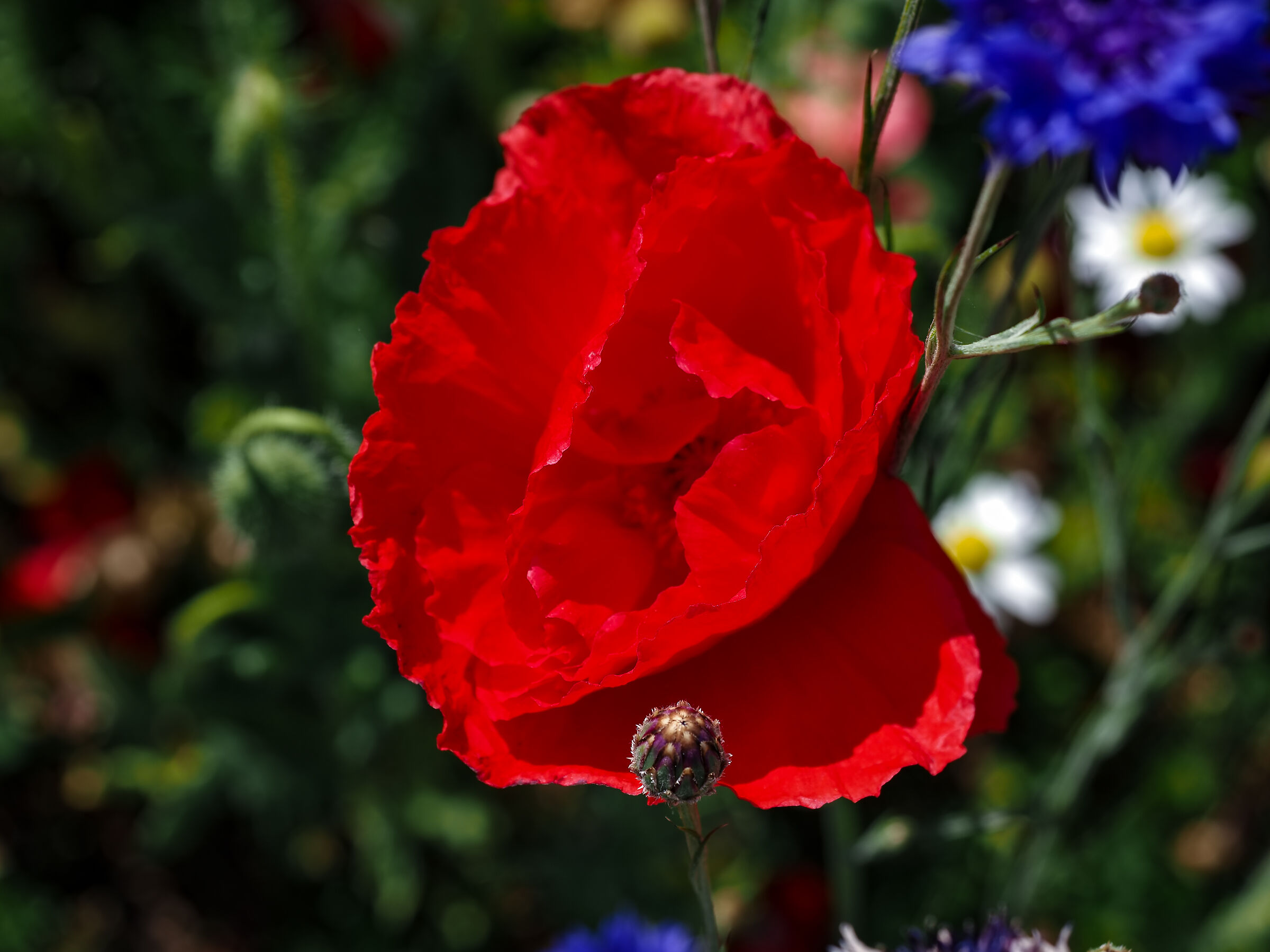 Untitled Photo