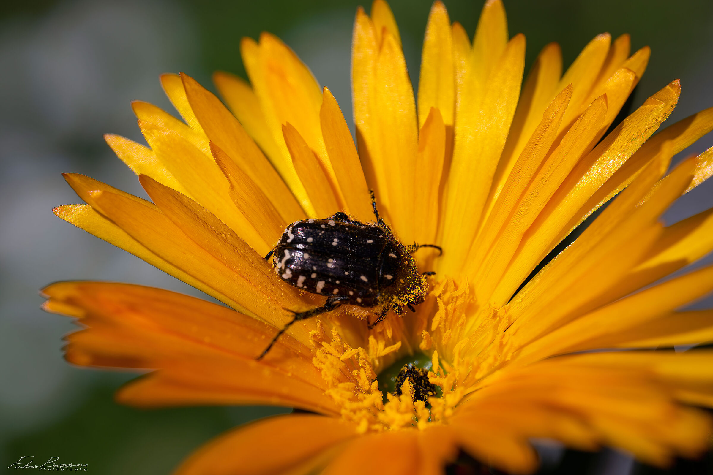 Breakfast at Mother Nature's