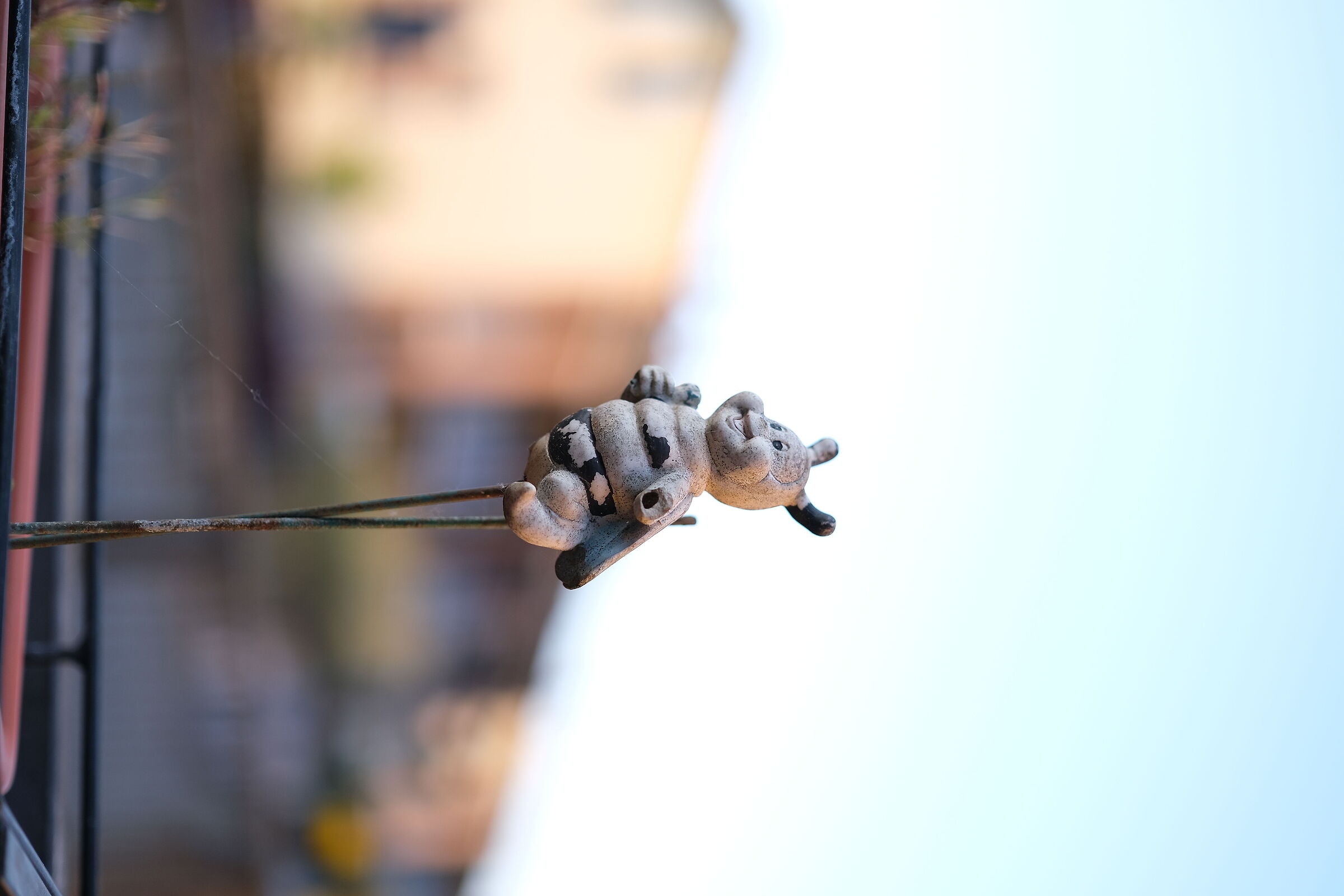 La guardia del vaso…