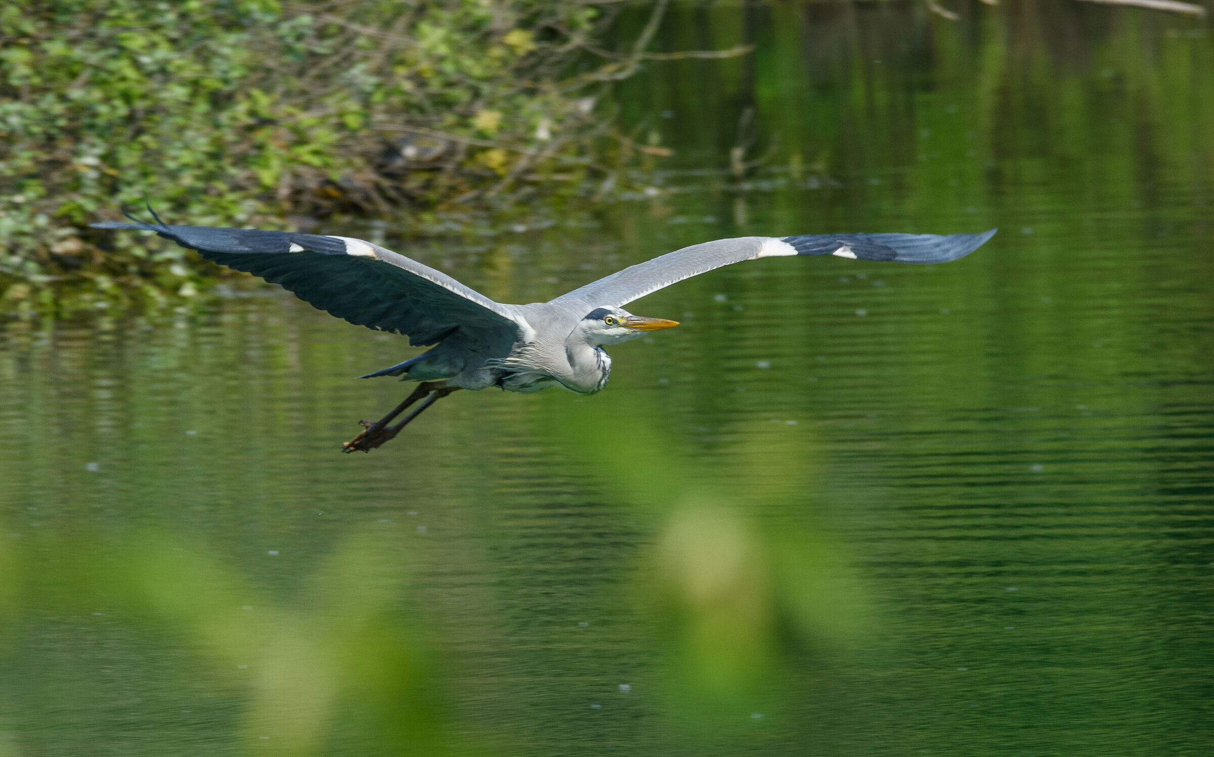 Praticamente preso al volo