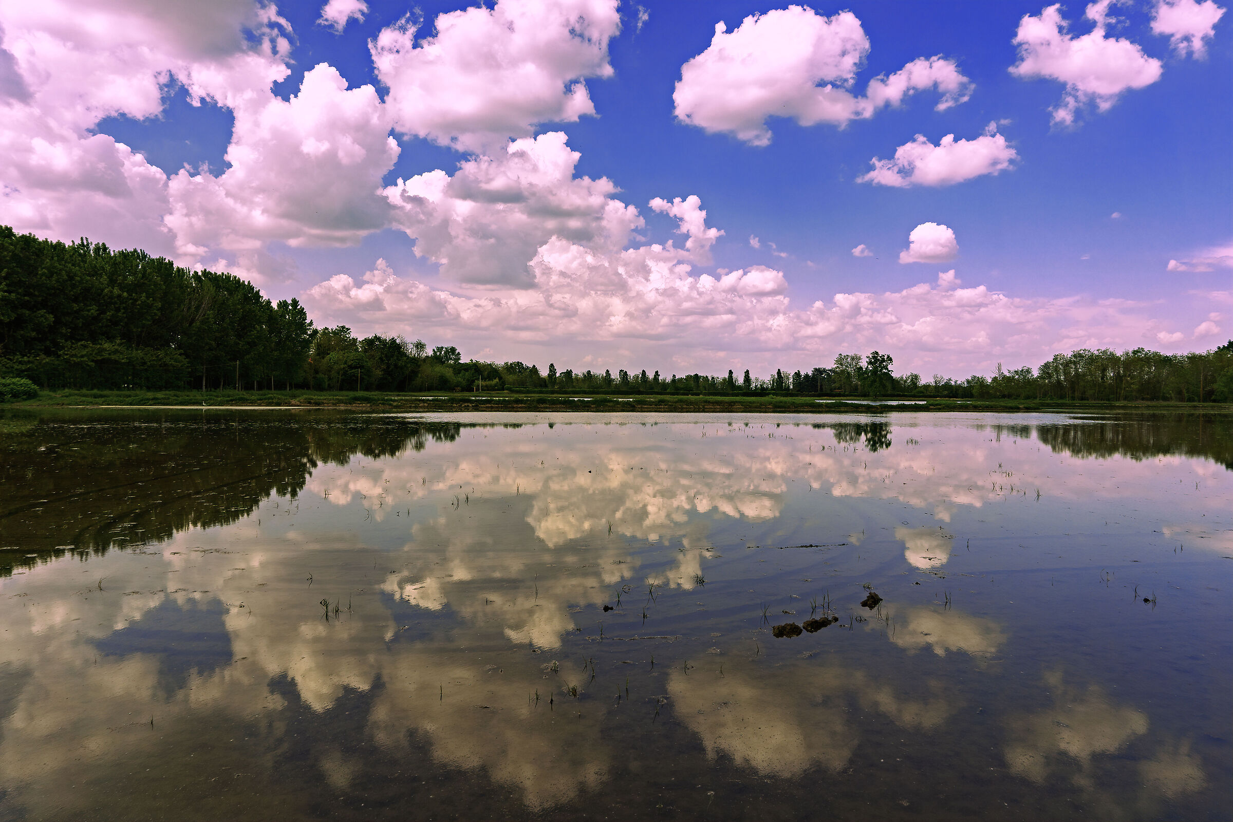 Clouds