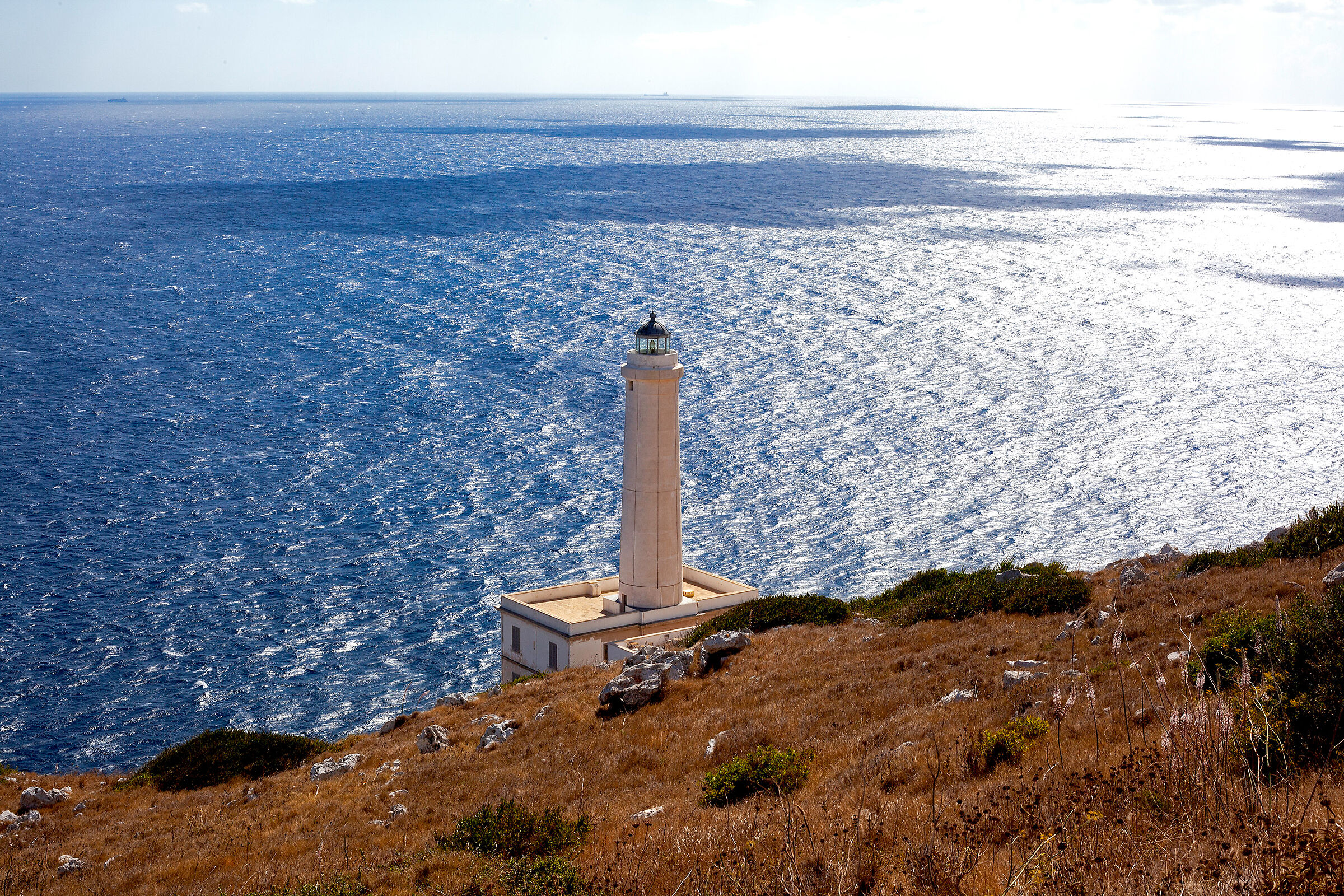 Faro Palascia prova web