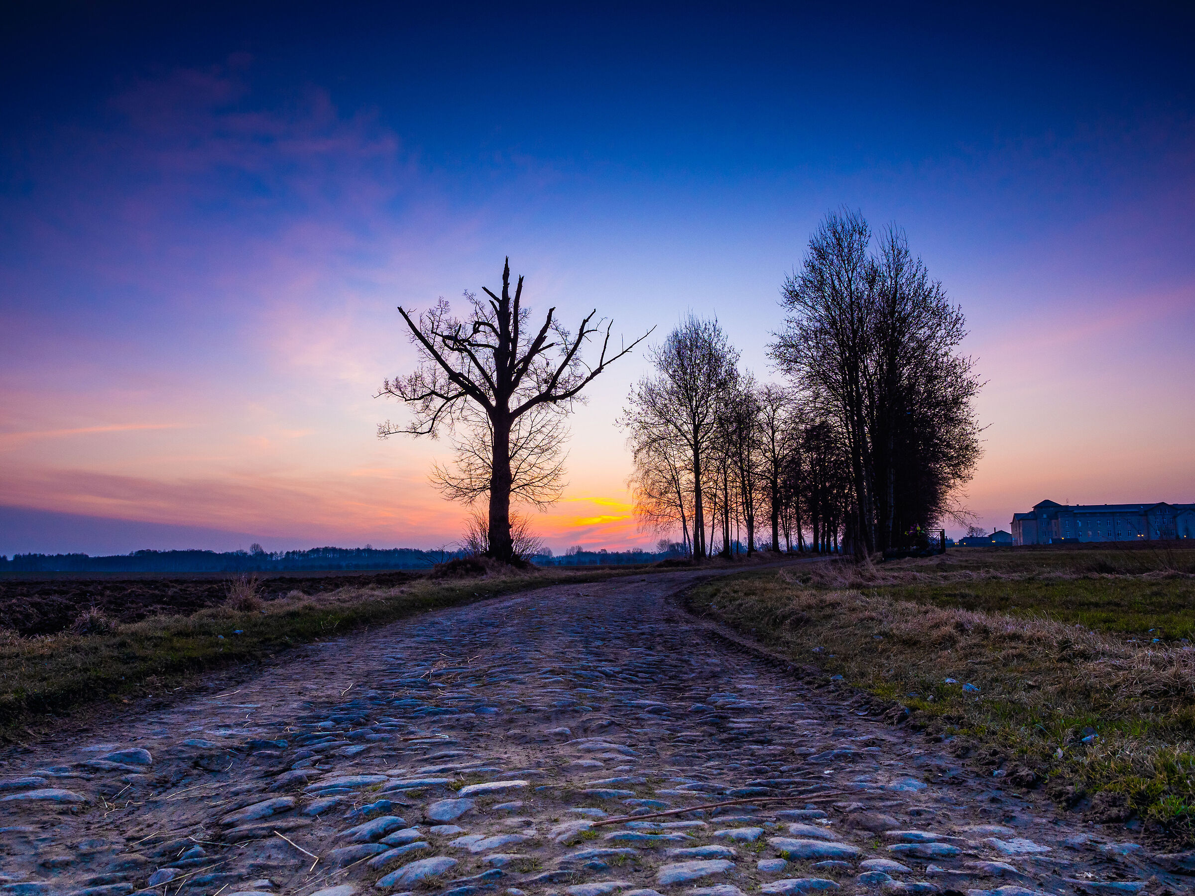 I primi raggi sulla strada